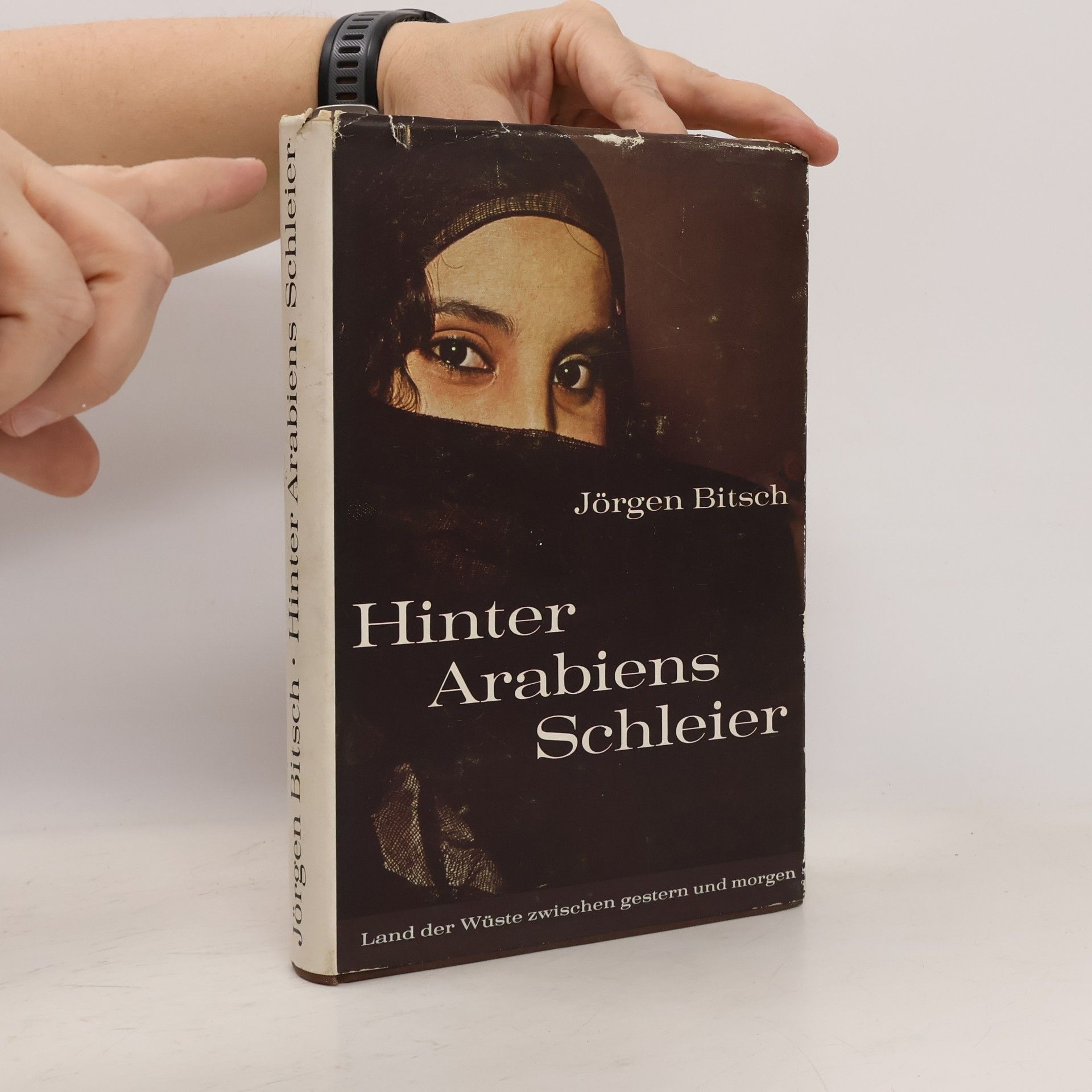 Jørgen Bitsch Hinter Arabiens Schleier