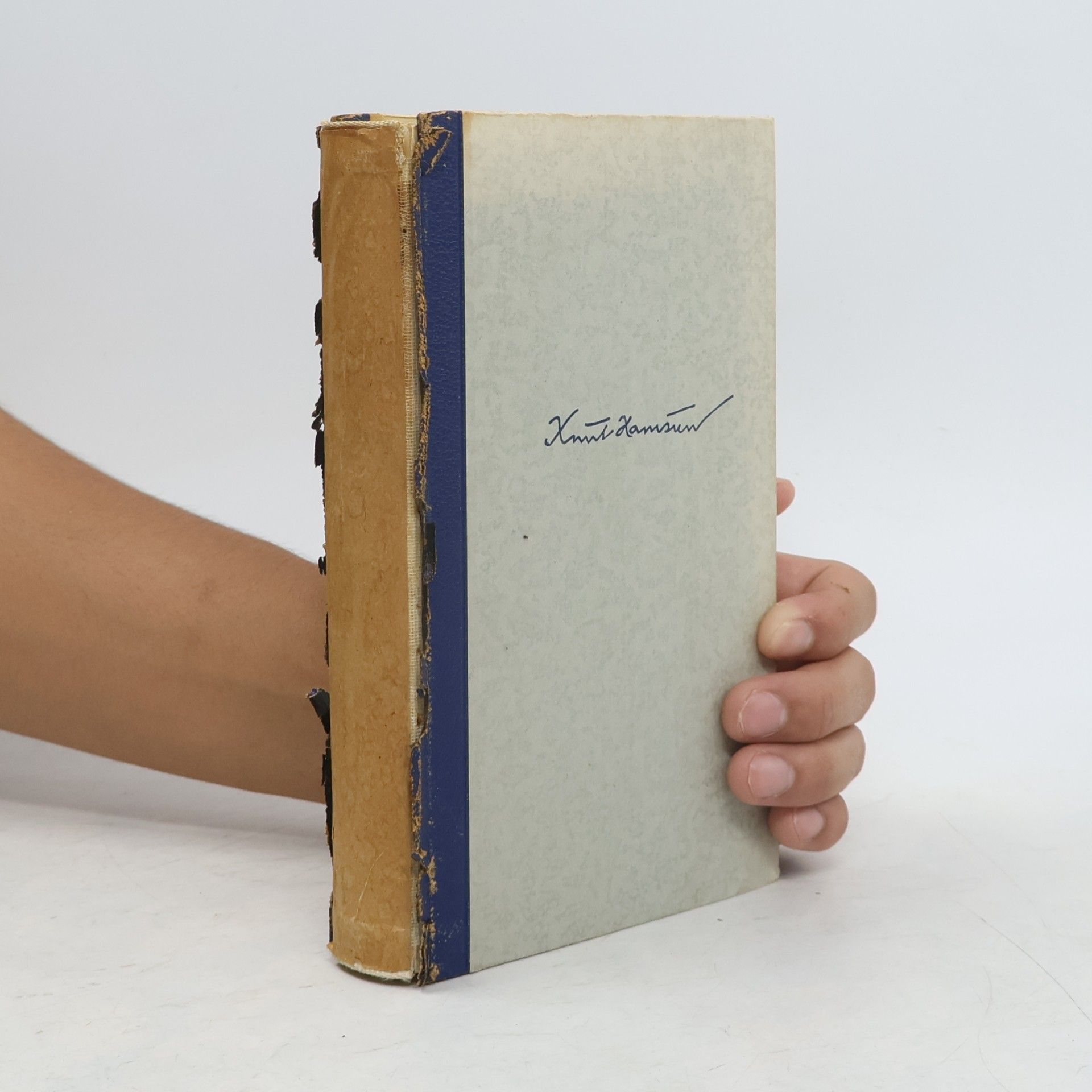 Knut Hamsun Hunger. Auf überwachsenen Pfaden