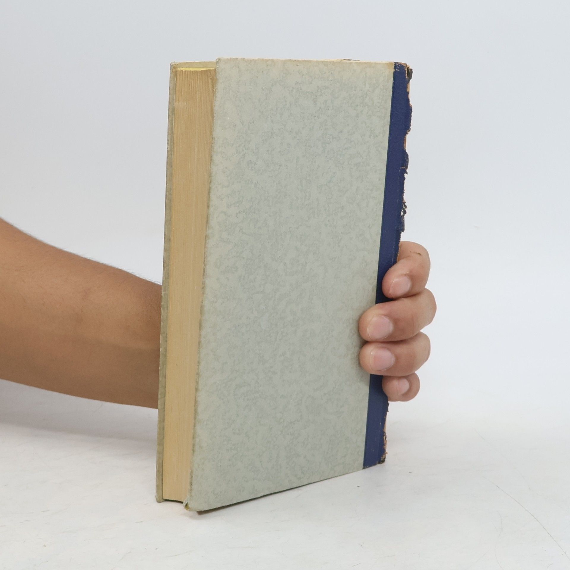 Knut Hamsun Hunger. Auf überwachsenen Pfaden