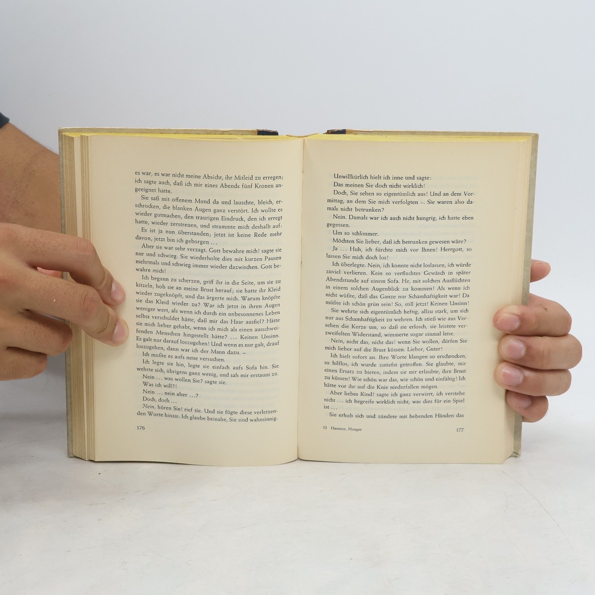 Knut Hamsun Hunger. Auf überwachsenen Pfaden