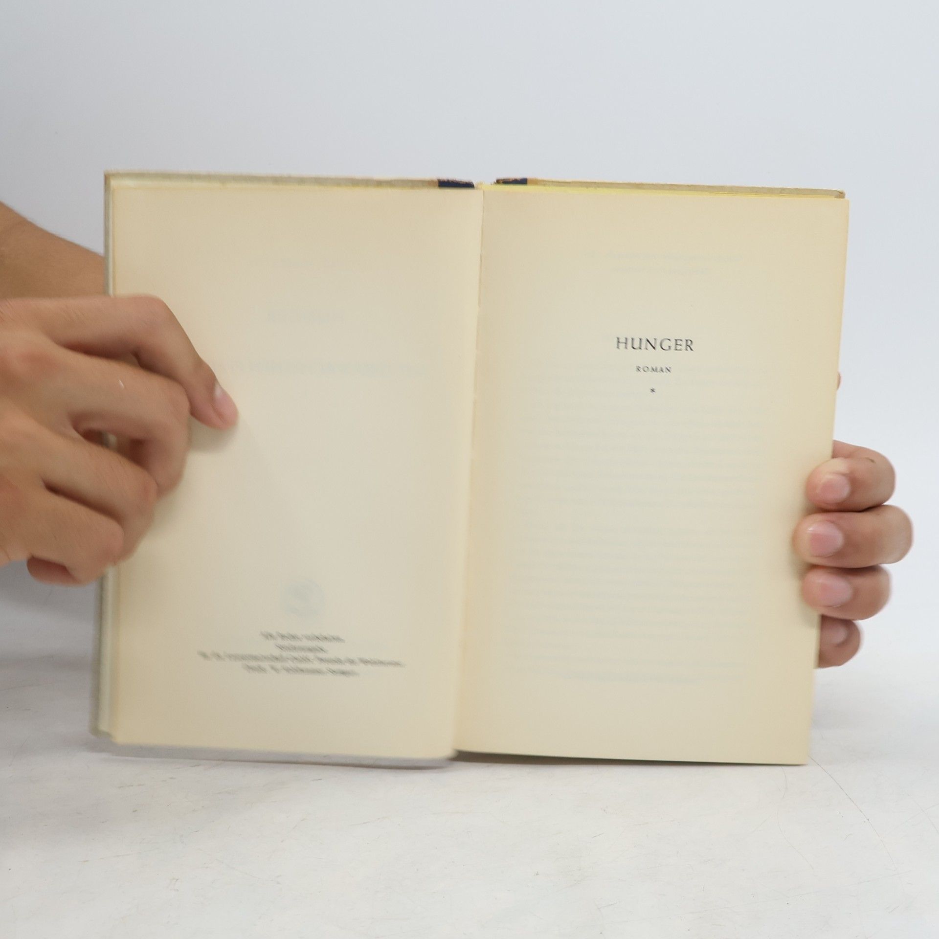 Knut Hamsun Hunger. Auf überwachsenen Pfaden