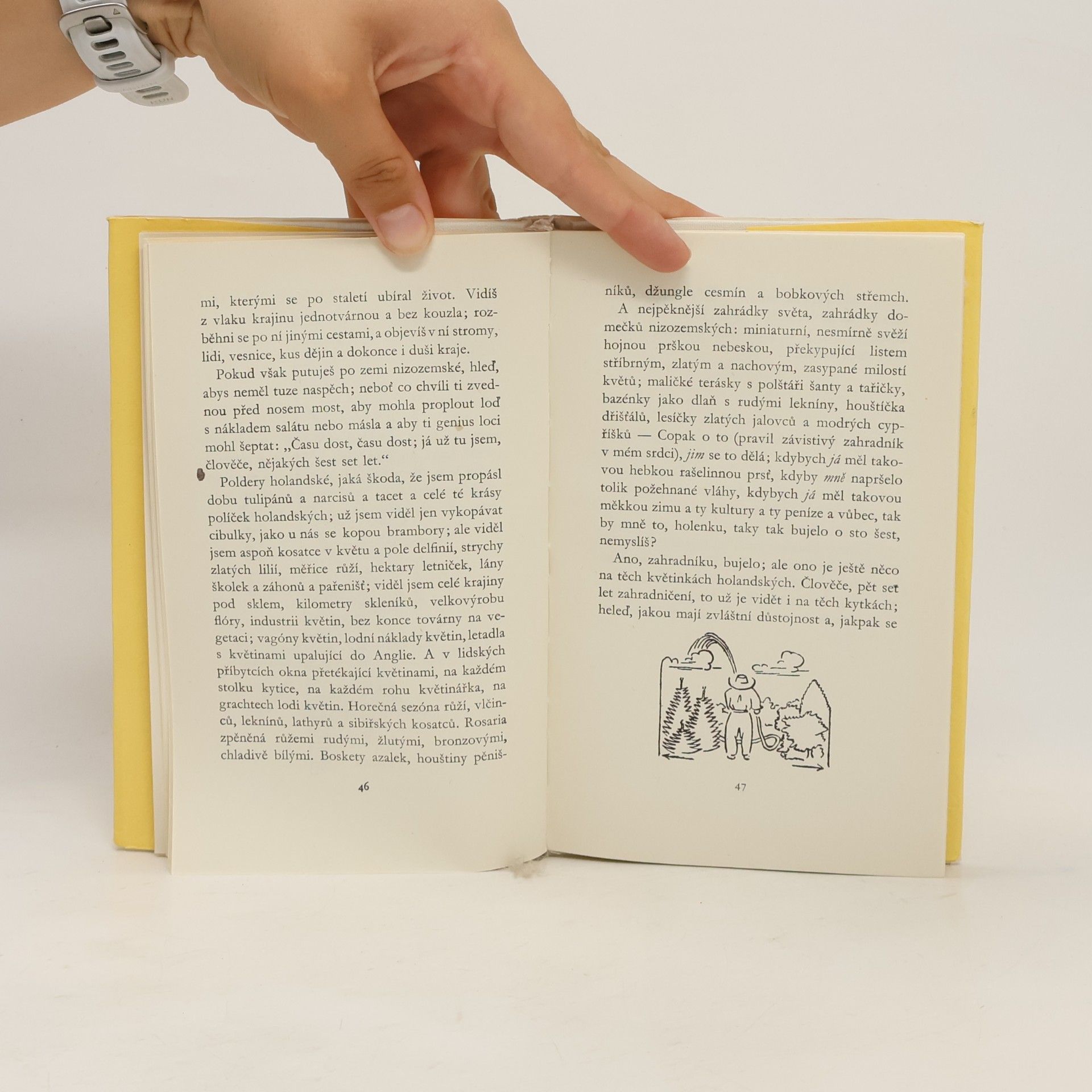 Karel Čapek Obrázky z Holandska