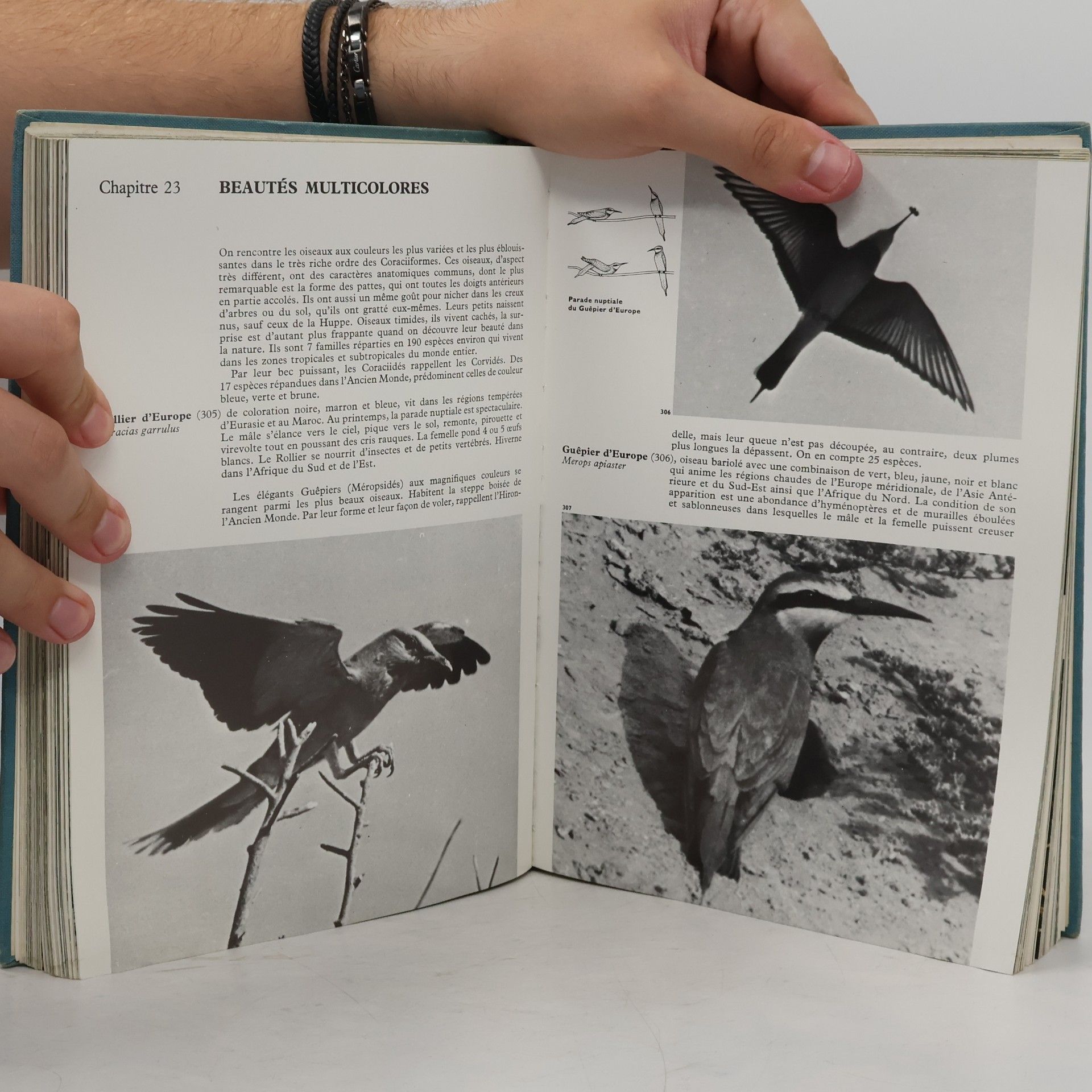 Jan Hanzák Encyclopédie des oiseaux