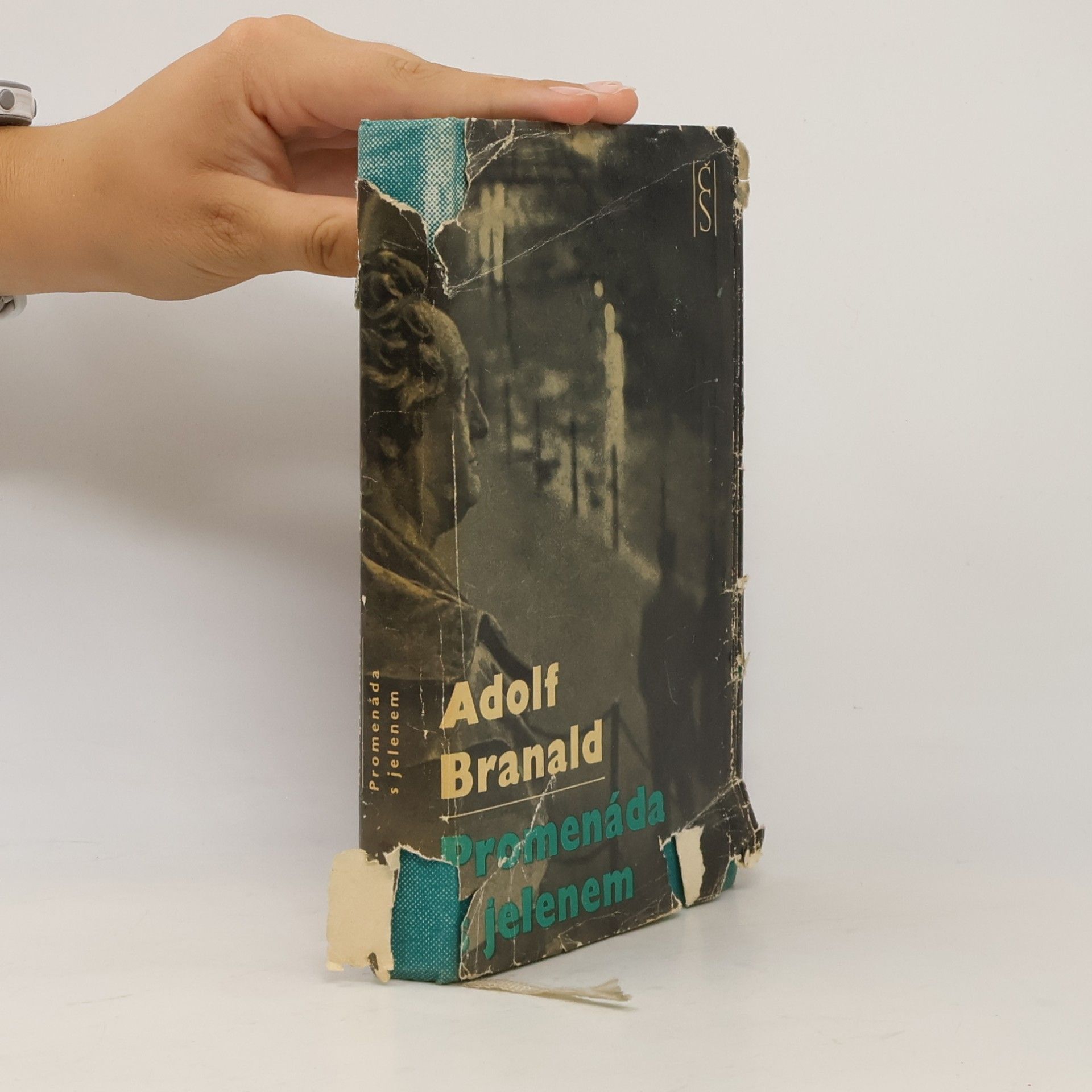 Adolf Branald Promenáda s jelenem