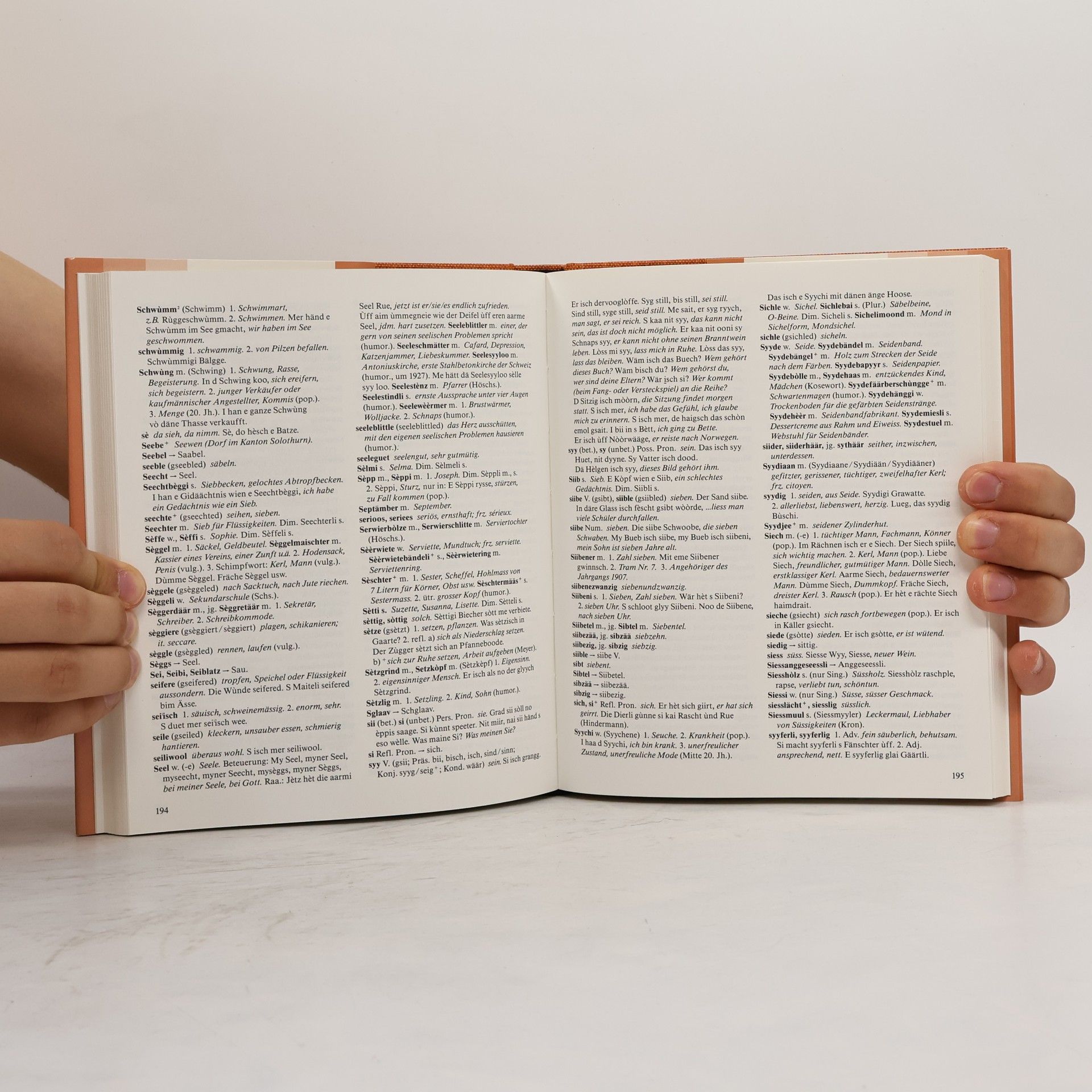 Rudolf Suter Baseldeutsch-Wörterbuch