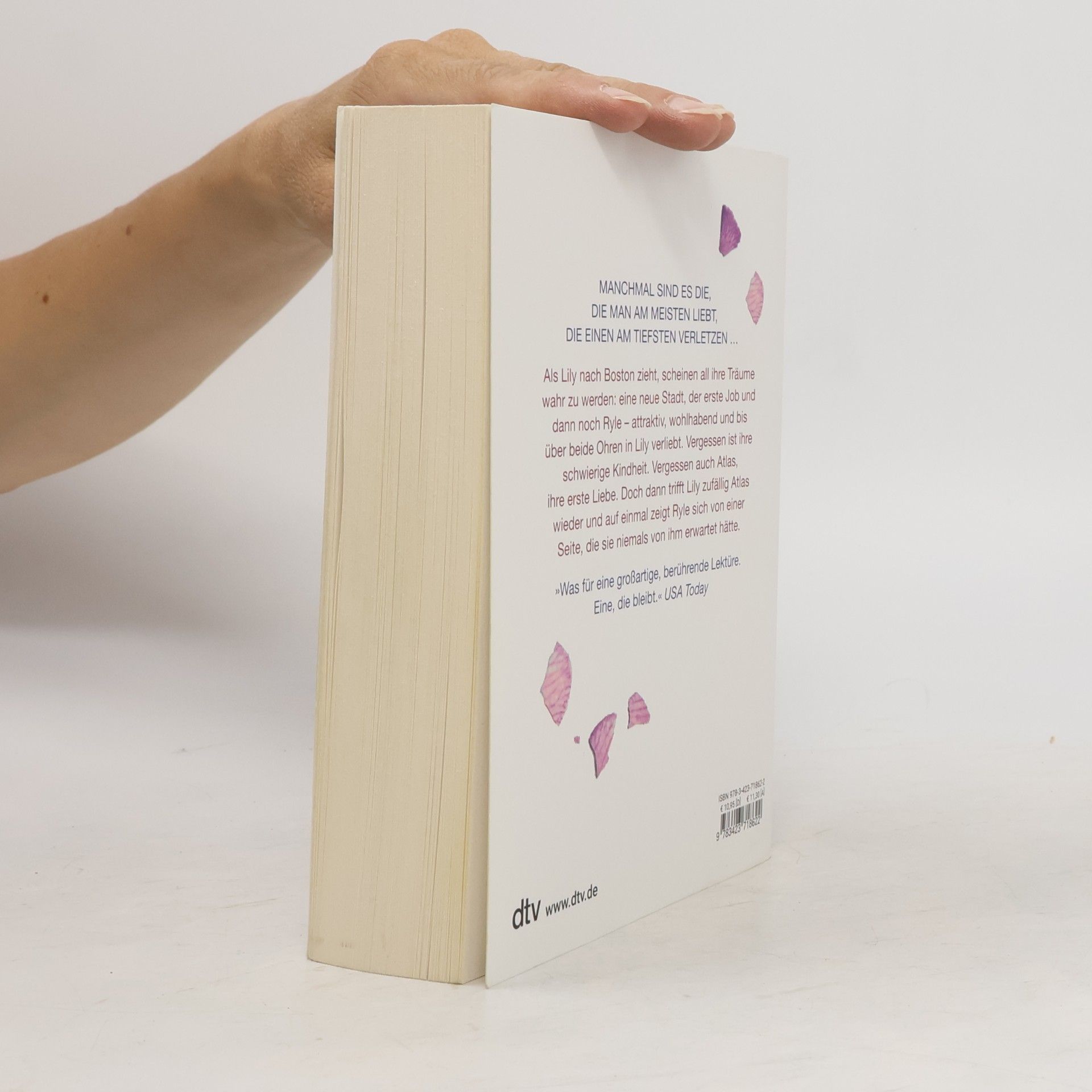 Colleen Hoover Nur noch ein einziges Mal