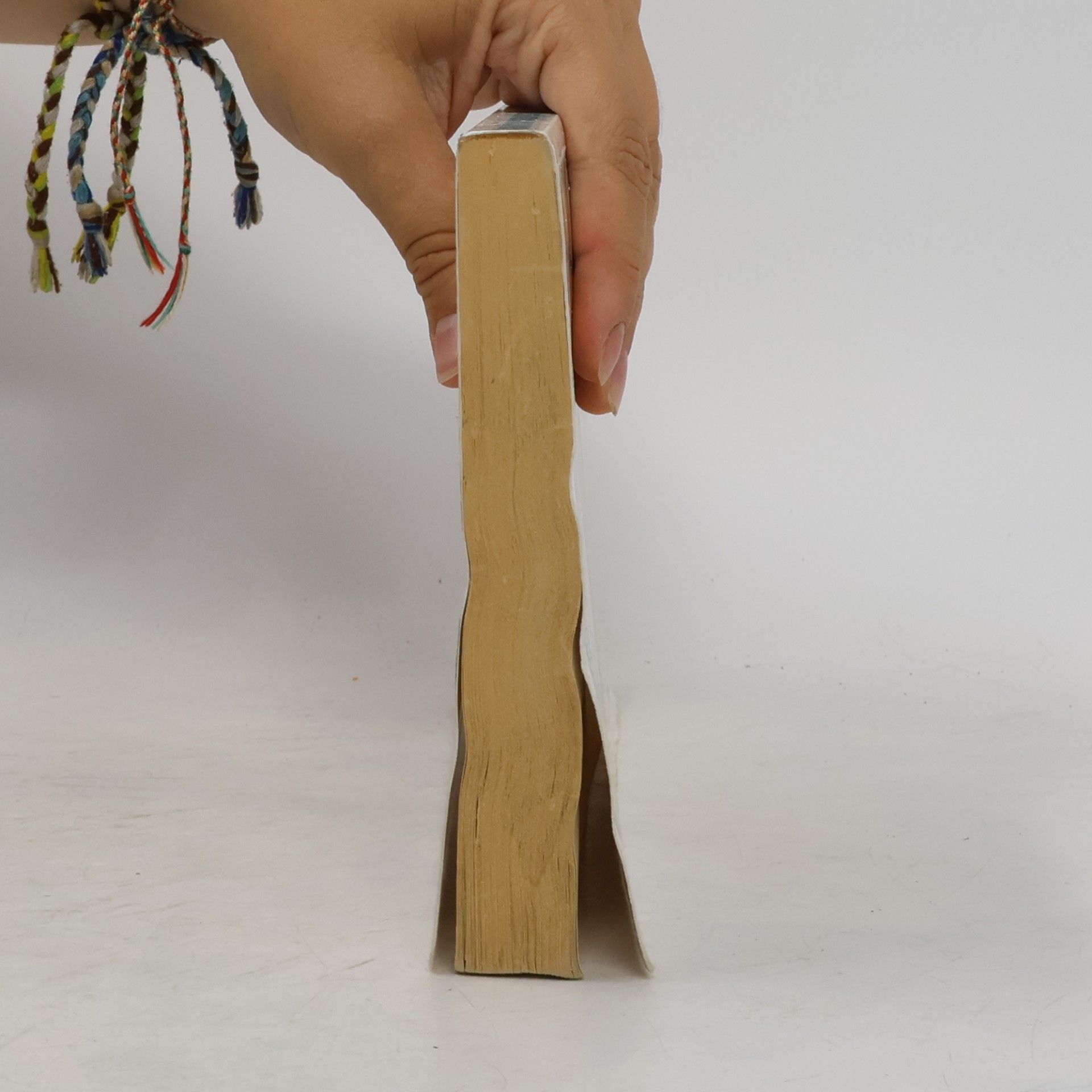Various authors Maturitní otázky z češtiny