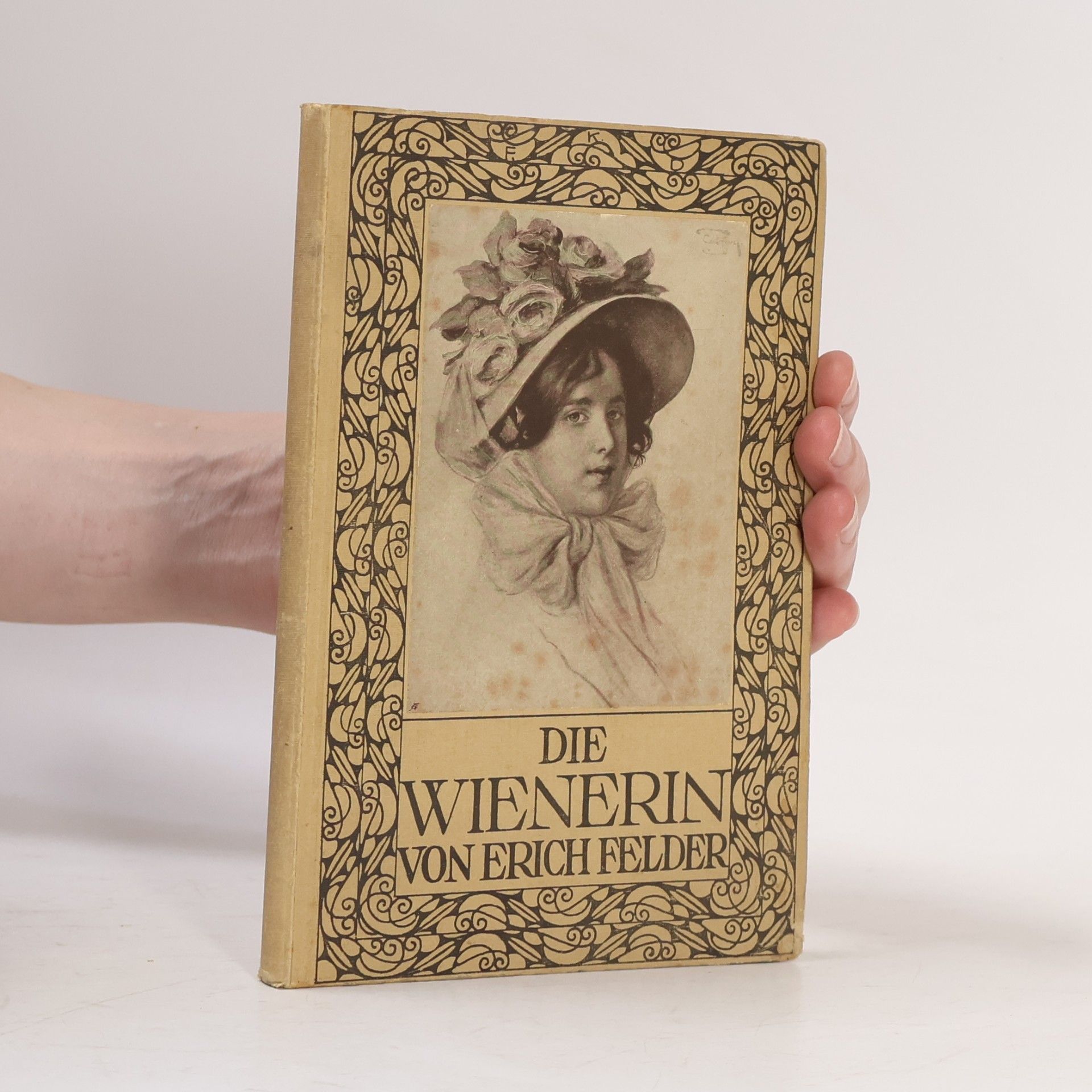 Ann Tizia Leitich Die Wienerin