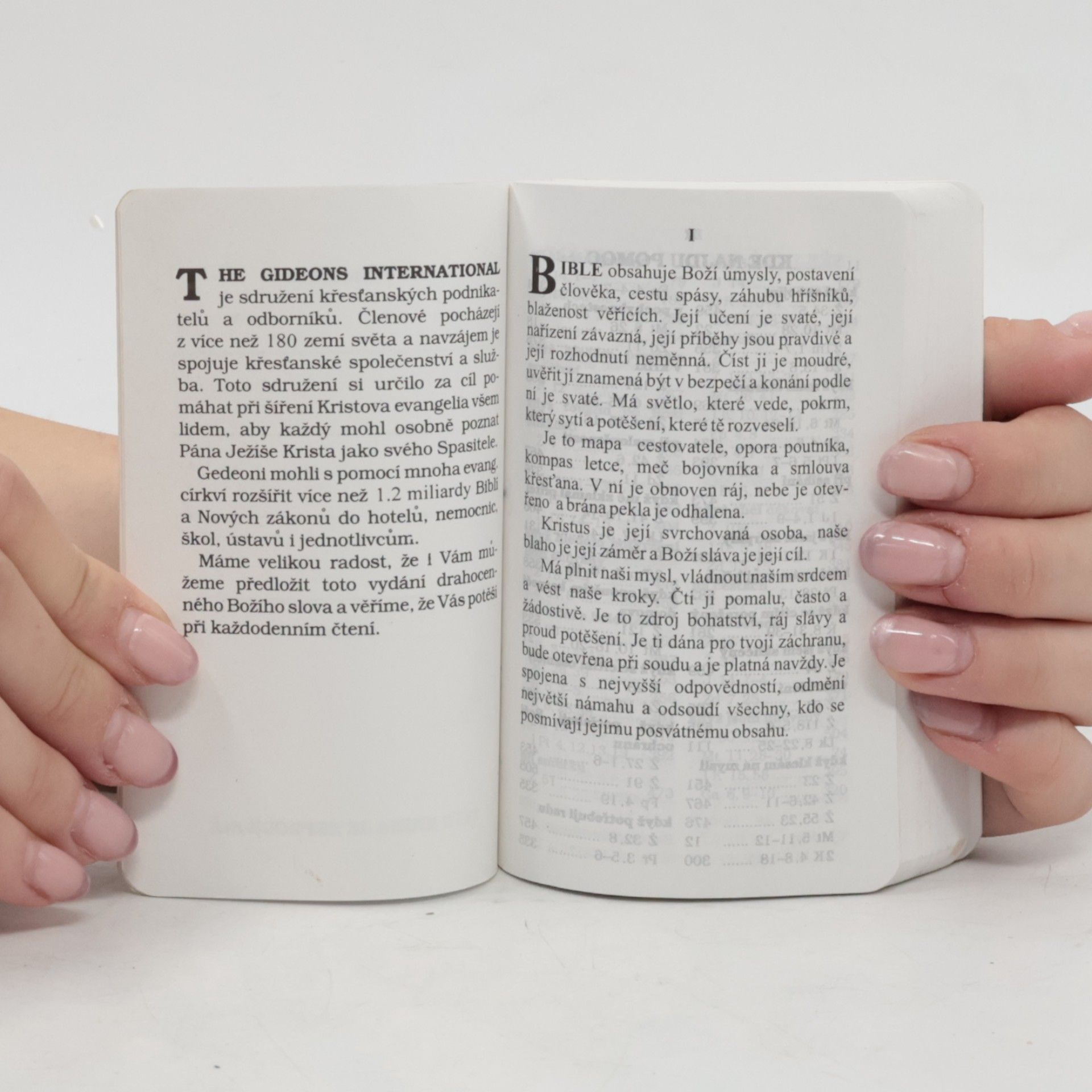 Various authors Nový Zákon. Žalmy a Přísloví