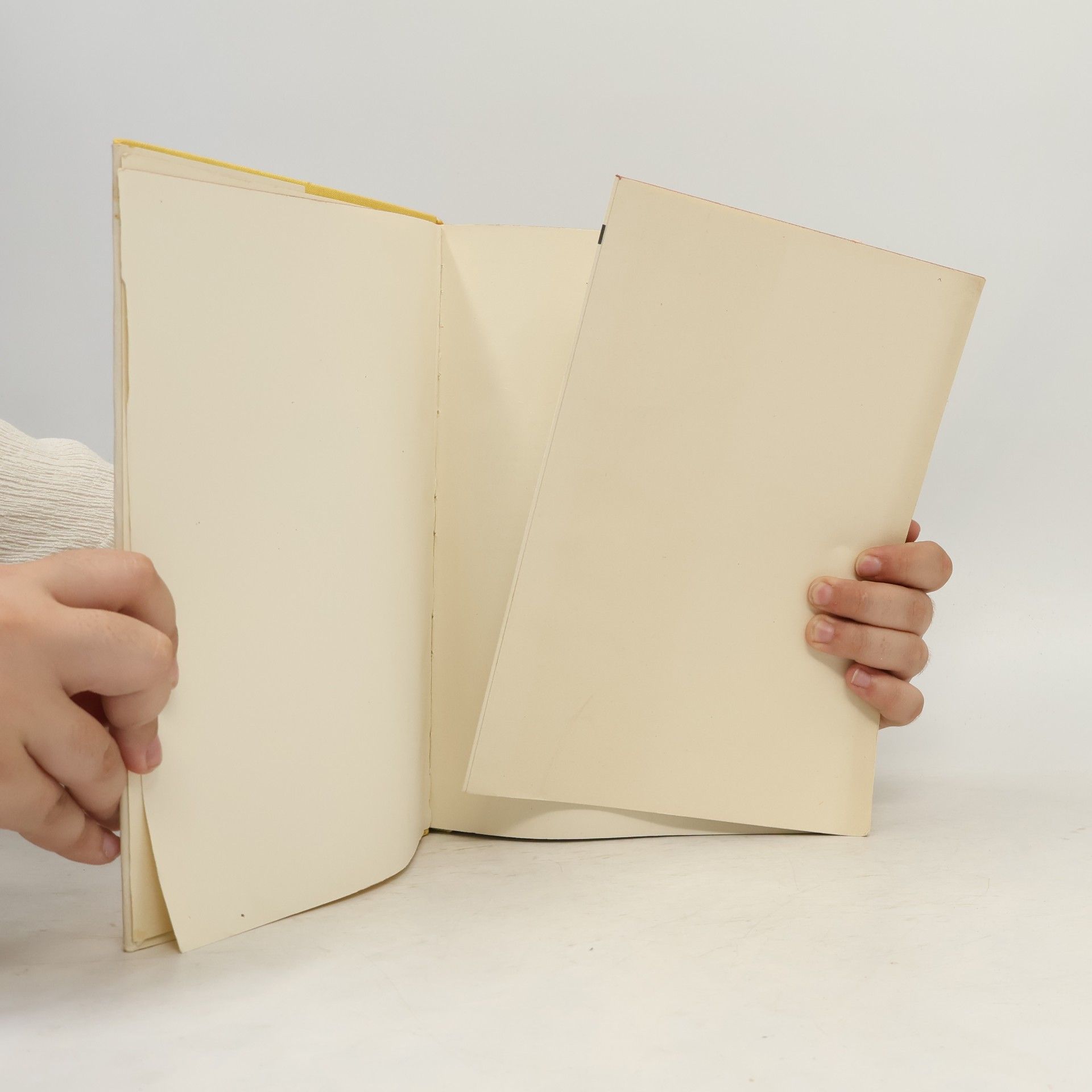 Mark Twain Dobrodružství Toma Sawyera a Huckleberryho Finna