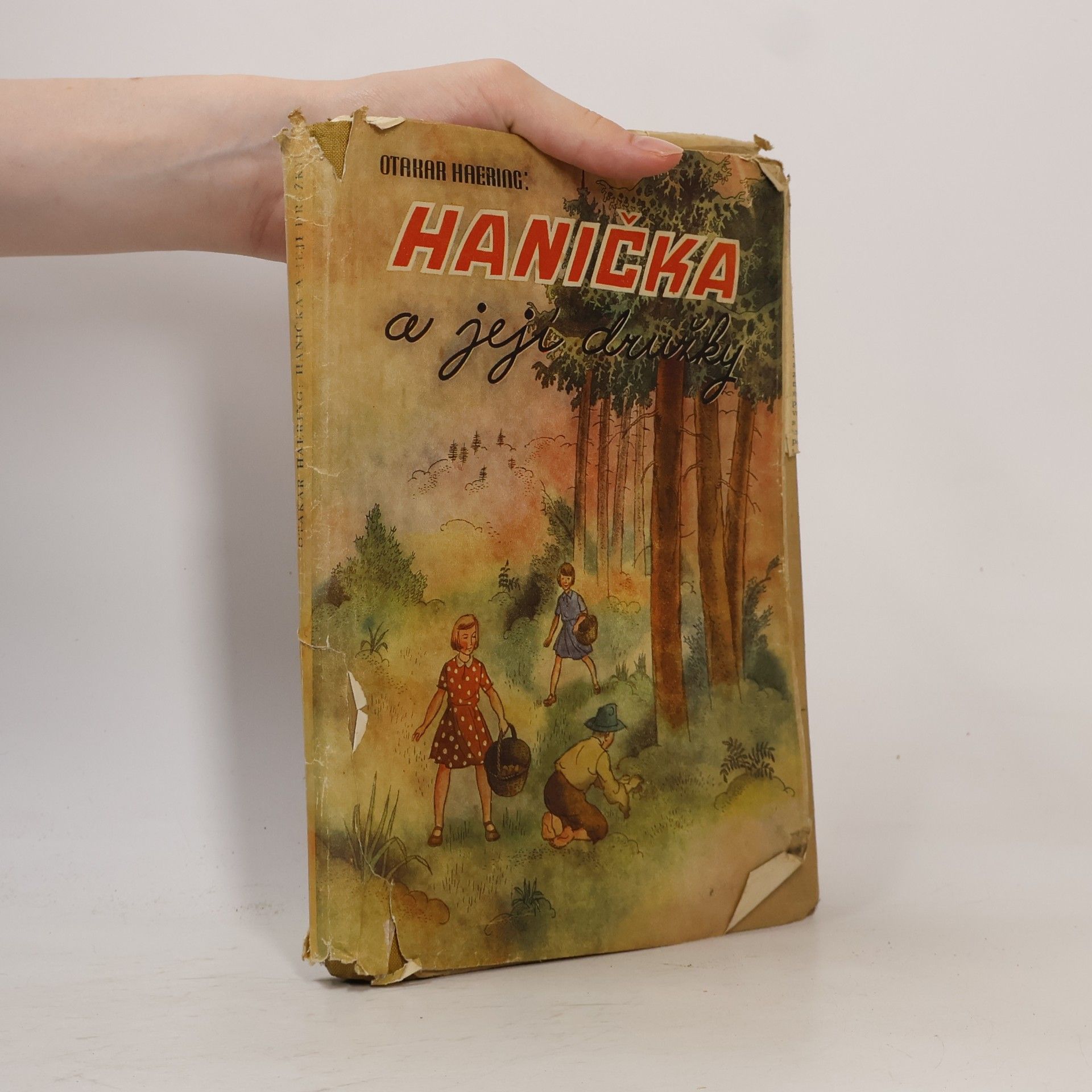 Otakar Haering Hanička a její družky
