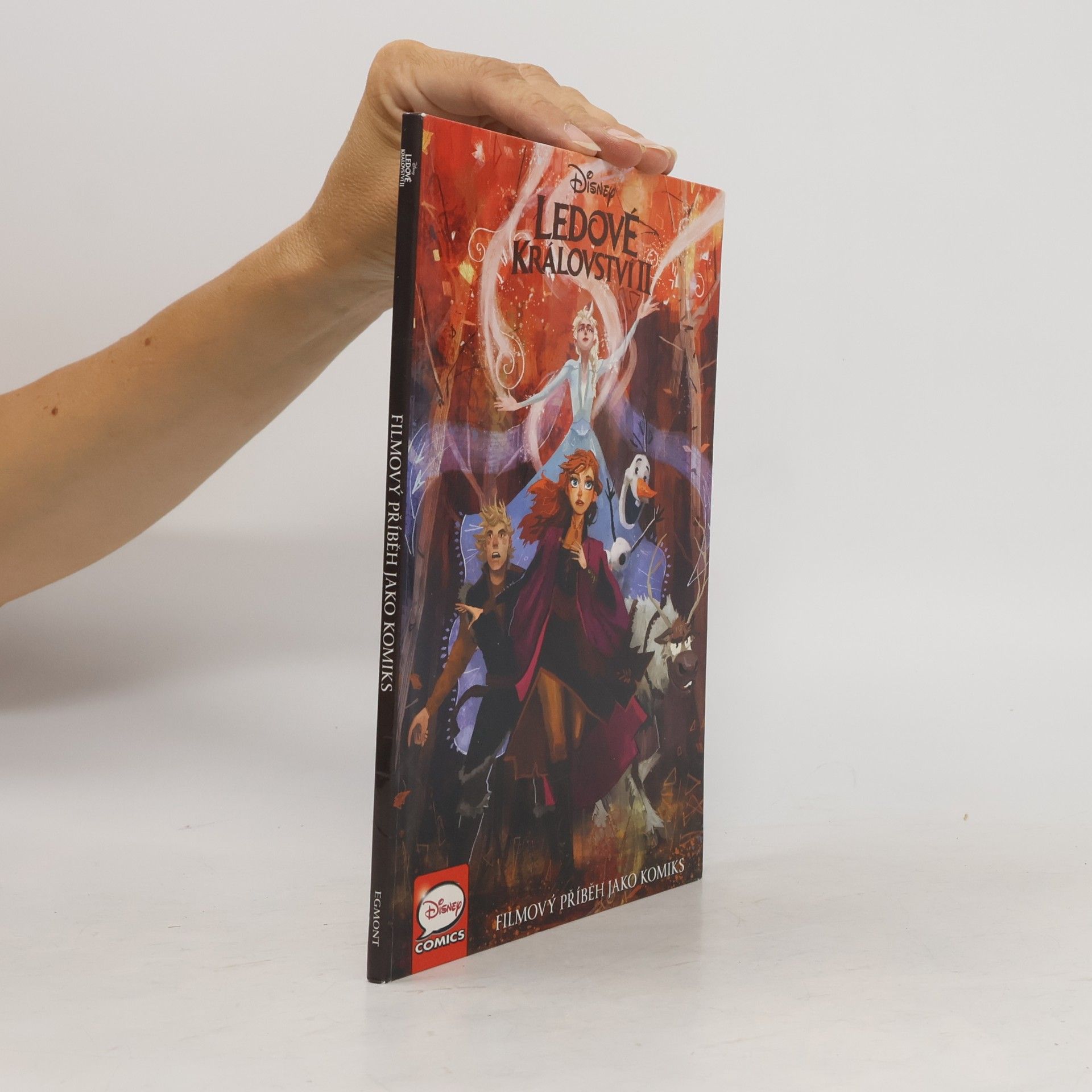 Autores varios Ledové království II