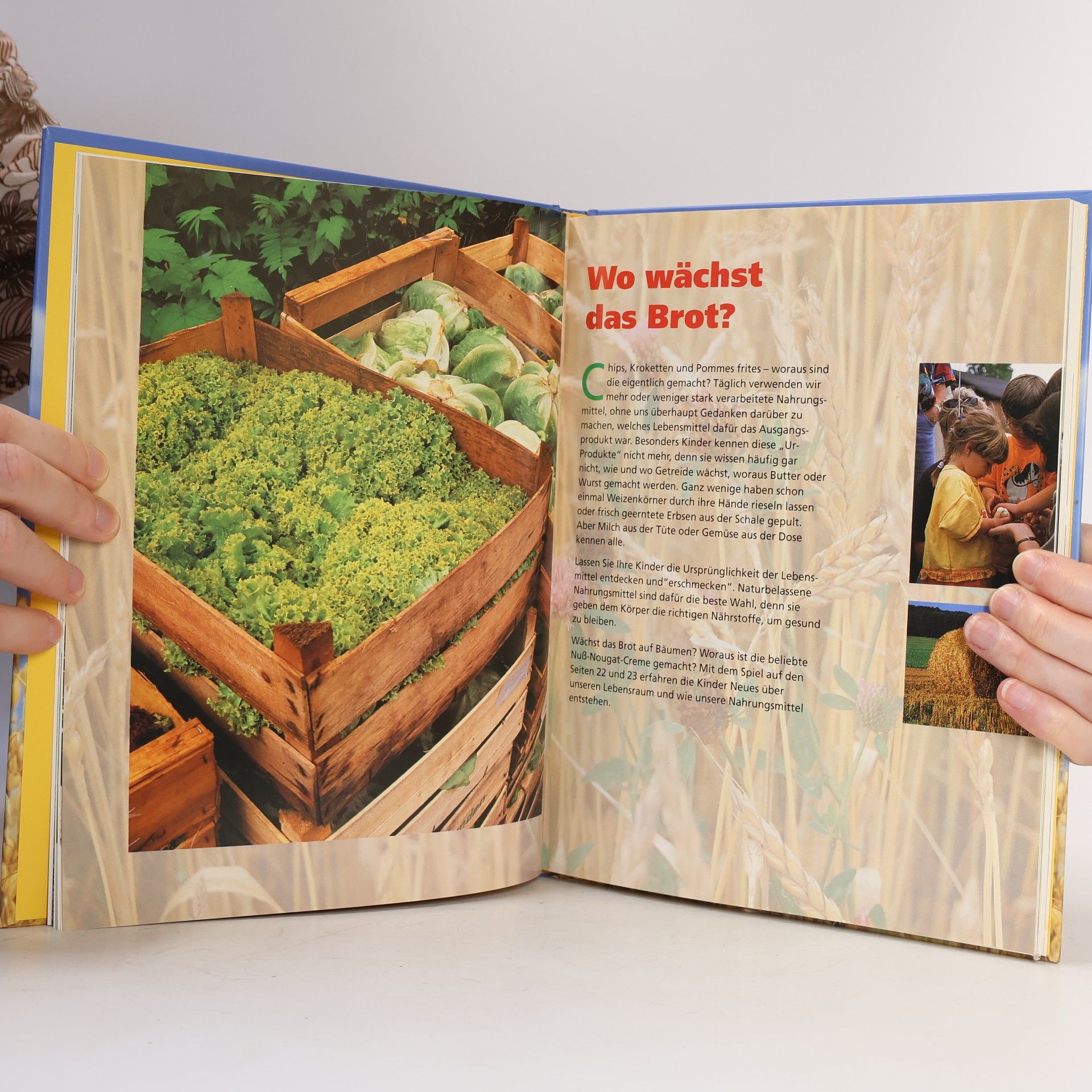 Jens Witt Das Familien-Kochbuch
