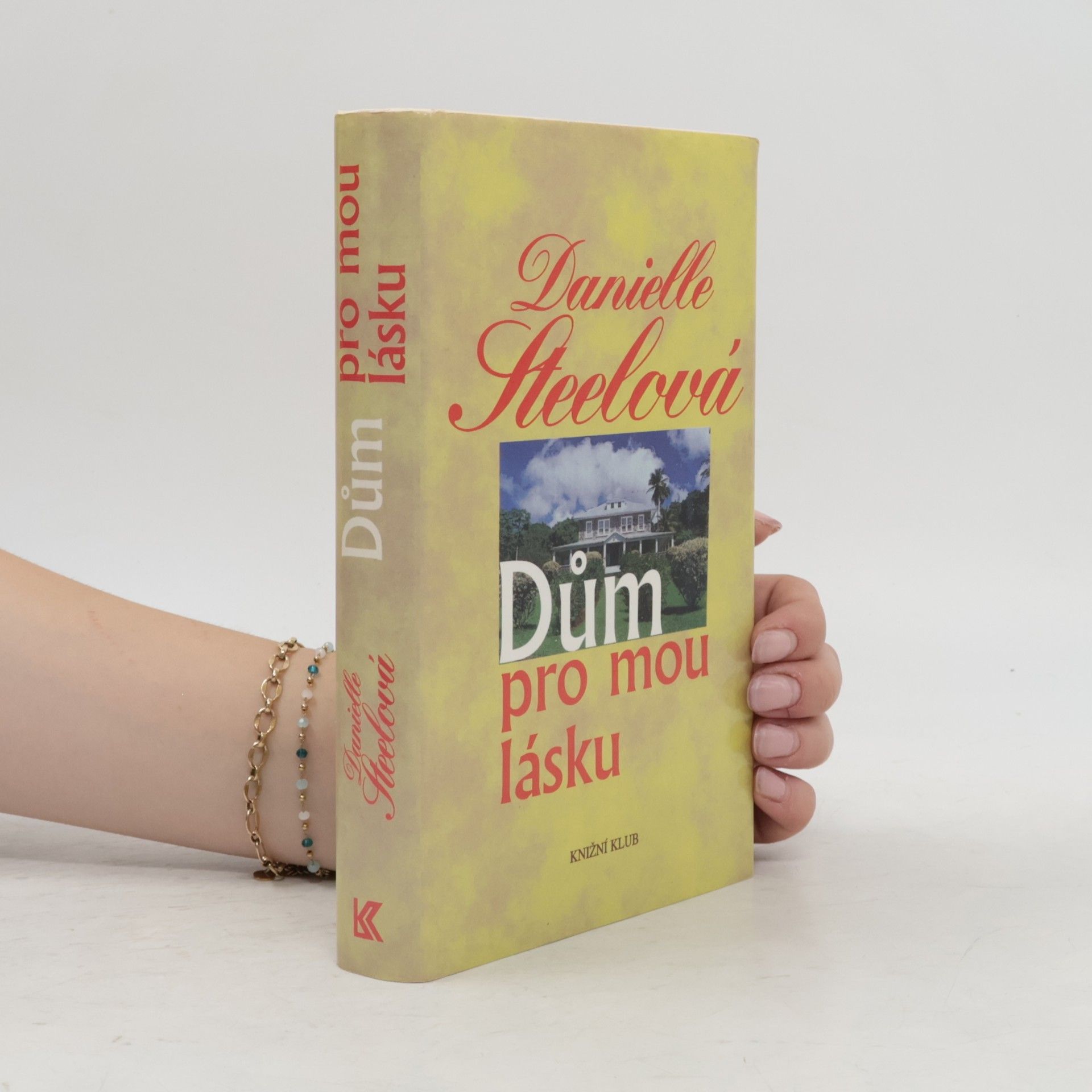 Danielle Steel Dům pro mou lásku