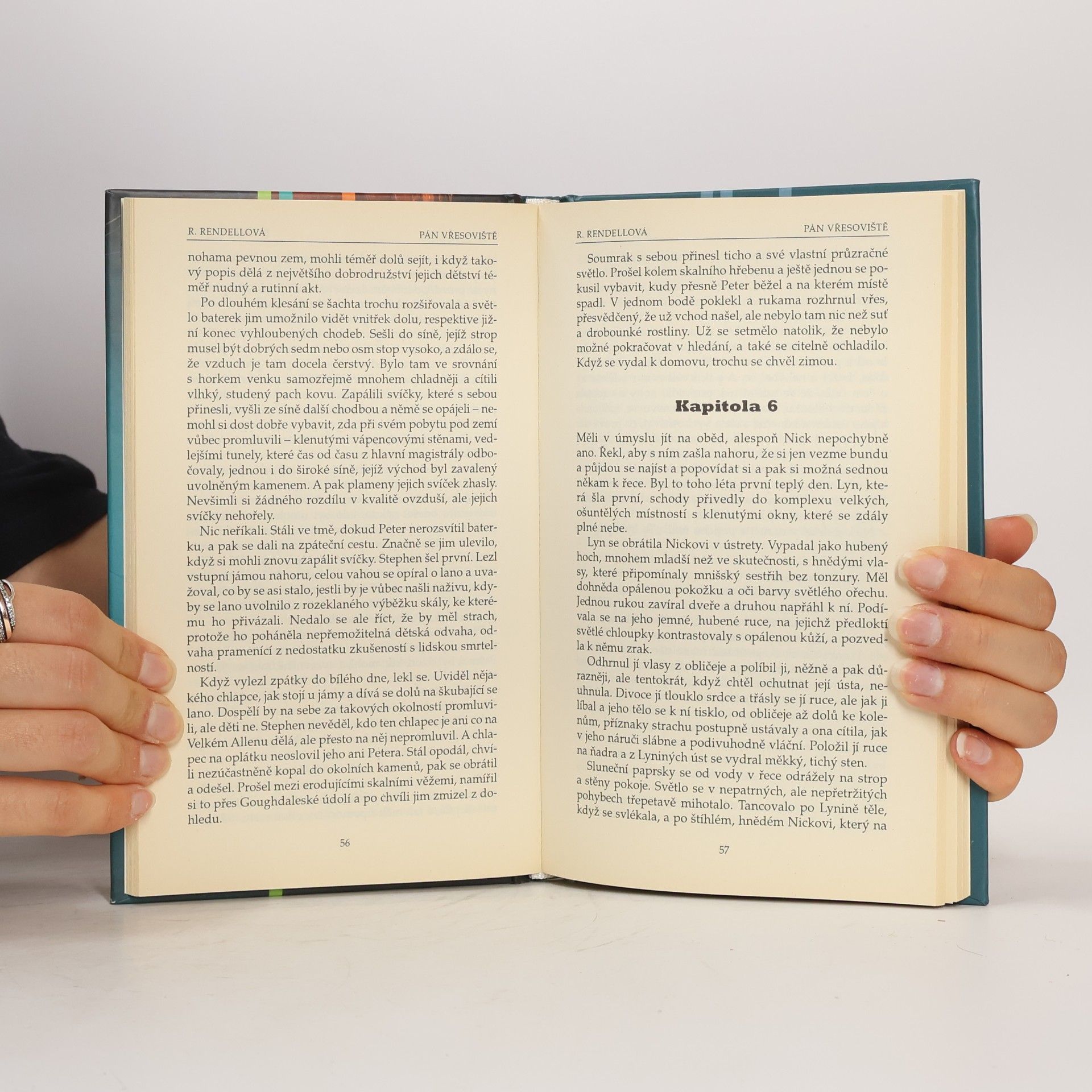 Ruth Rendell Pán vřesoviště