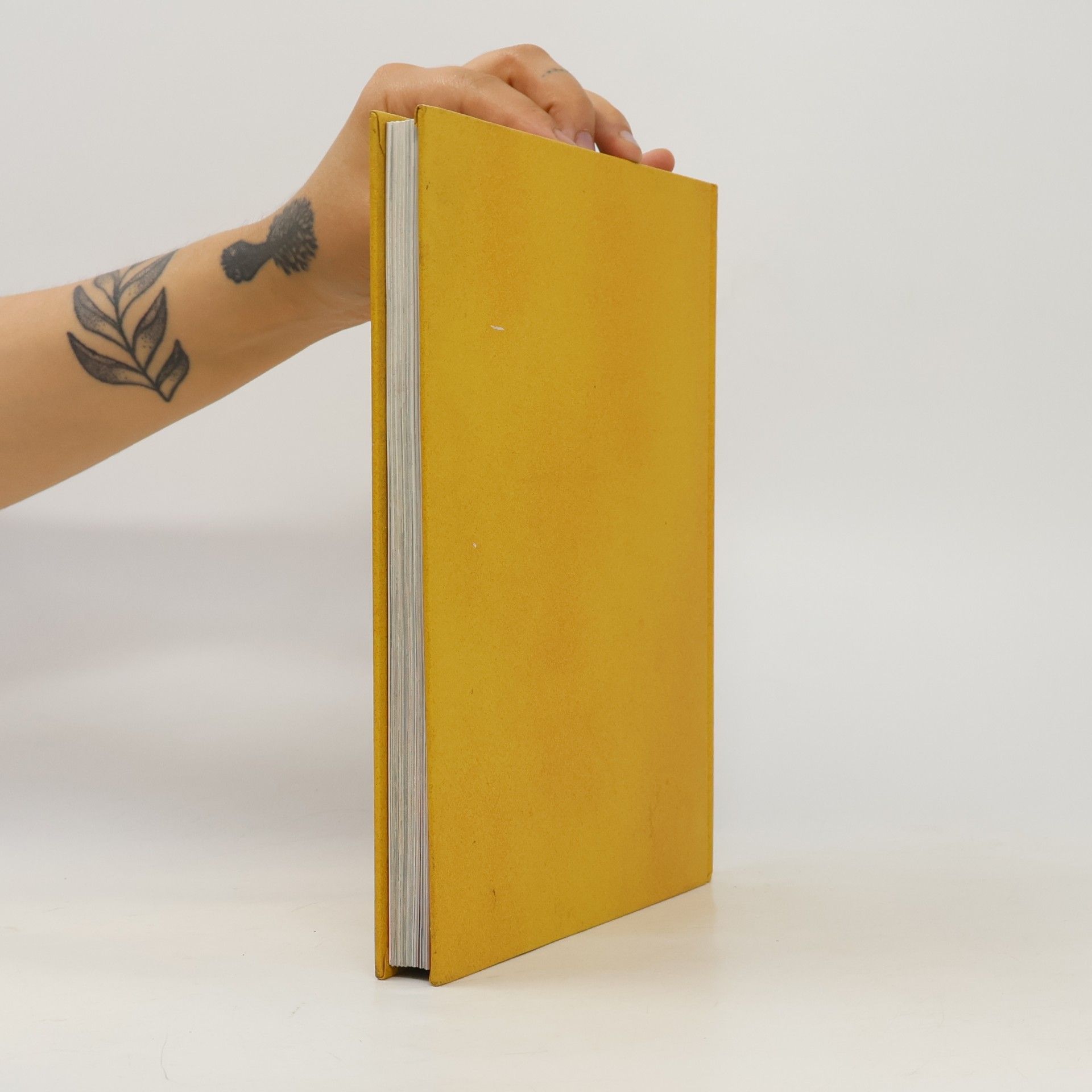 Collectif d'auteurs Moje kniha biblických příběhů