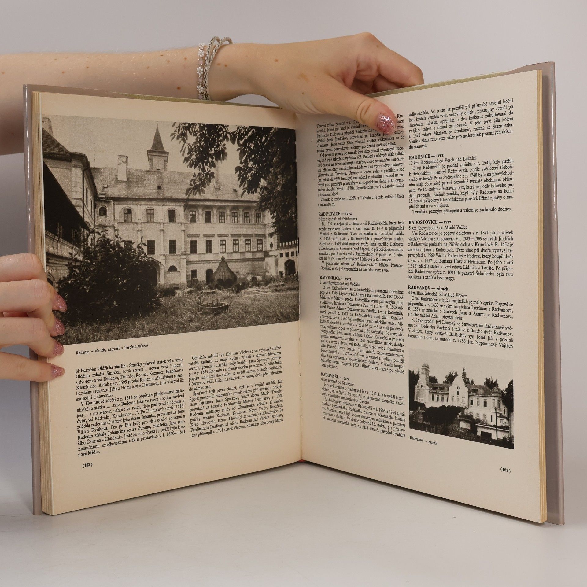 Autorenkollektiv Hrady, zámky a tvrze v Čechách, na Moravě a ve Slezsku V. Jižní Čechy