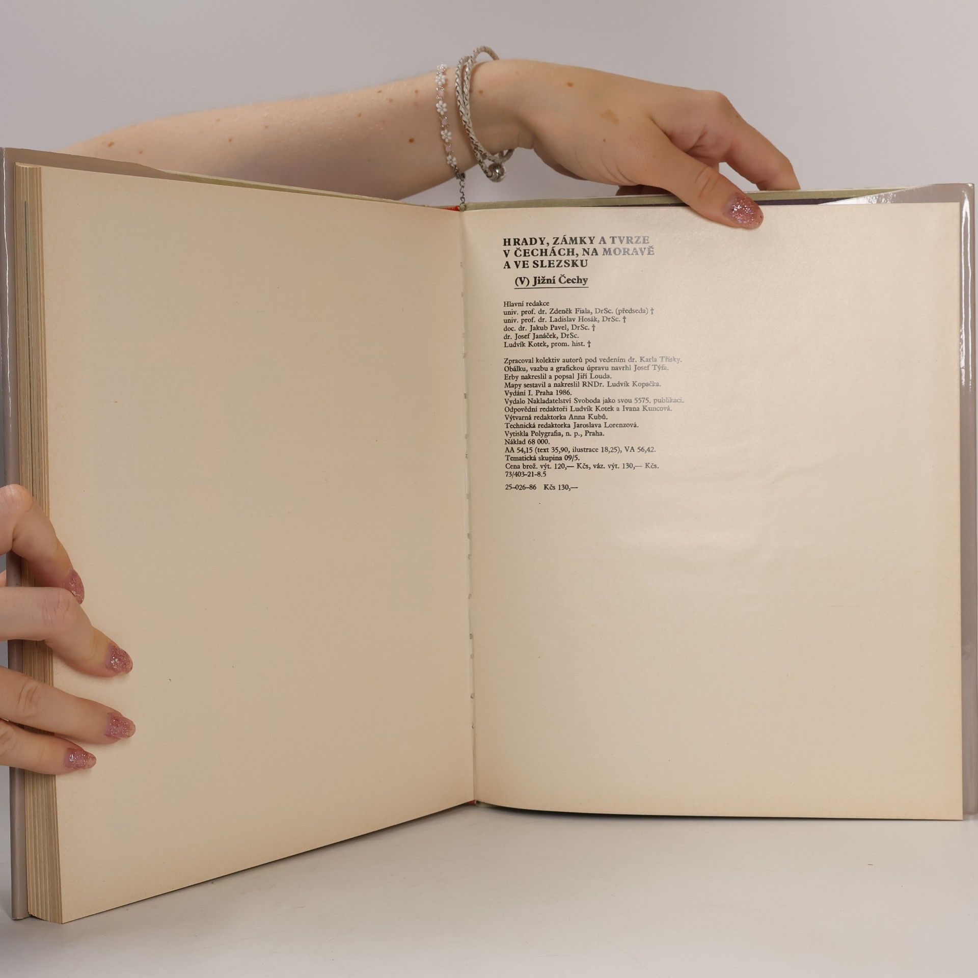 Autorenkollektiv Hrady, zámky a tvrze v Čechách, na Moravě a ve Slezsku V. Jižní Čechy