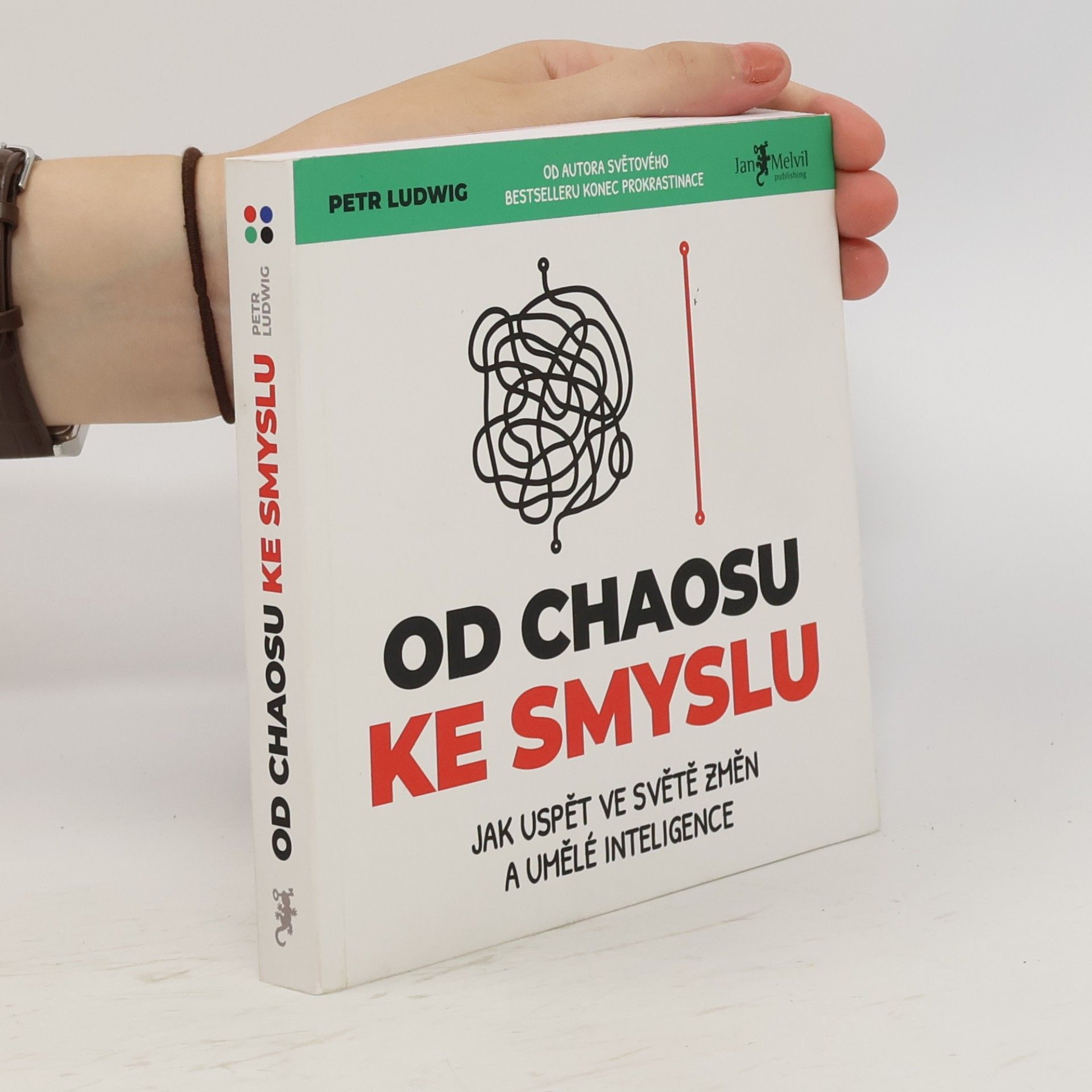Od chaosu ke smyslu