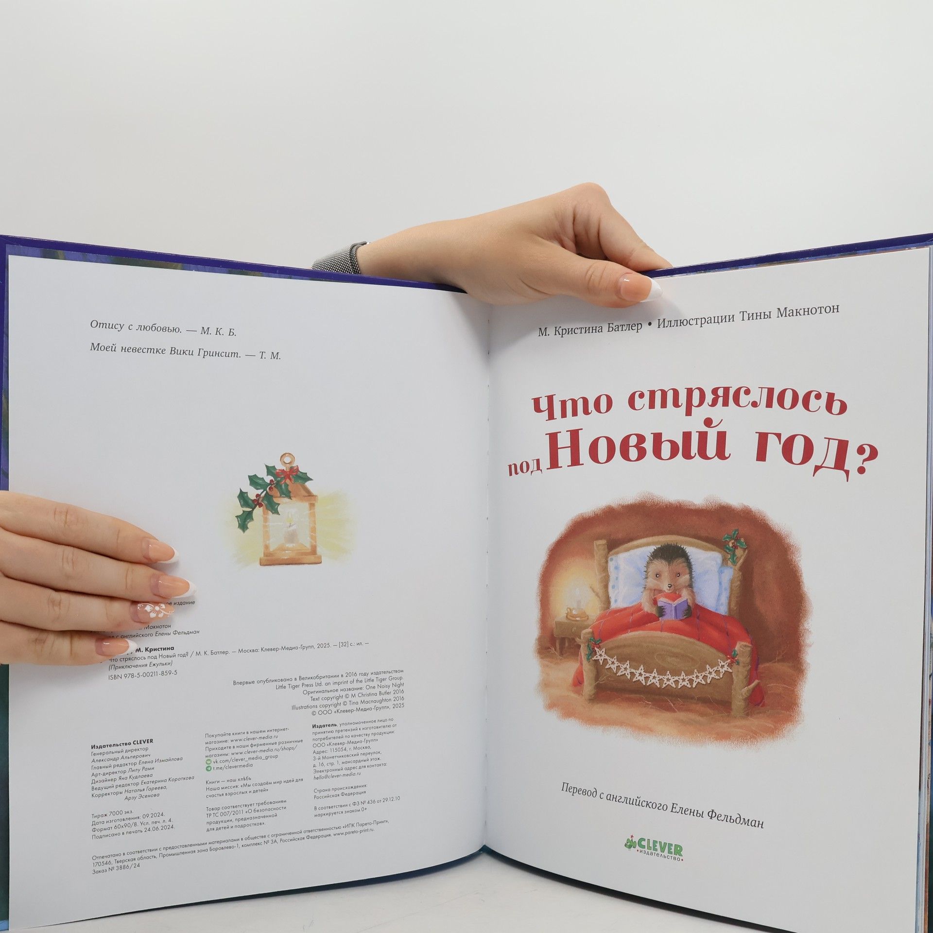 М. Кристина Батлер Что стряслось под Новый год?