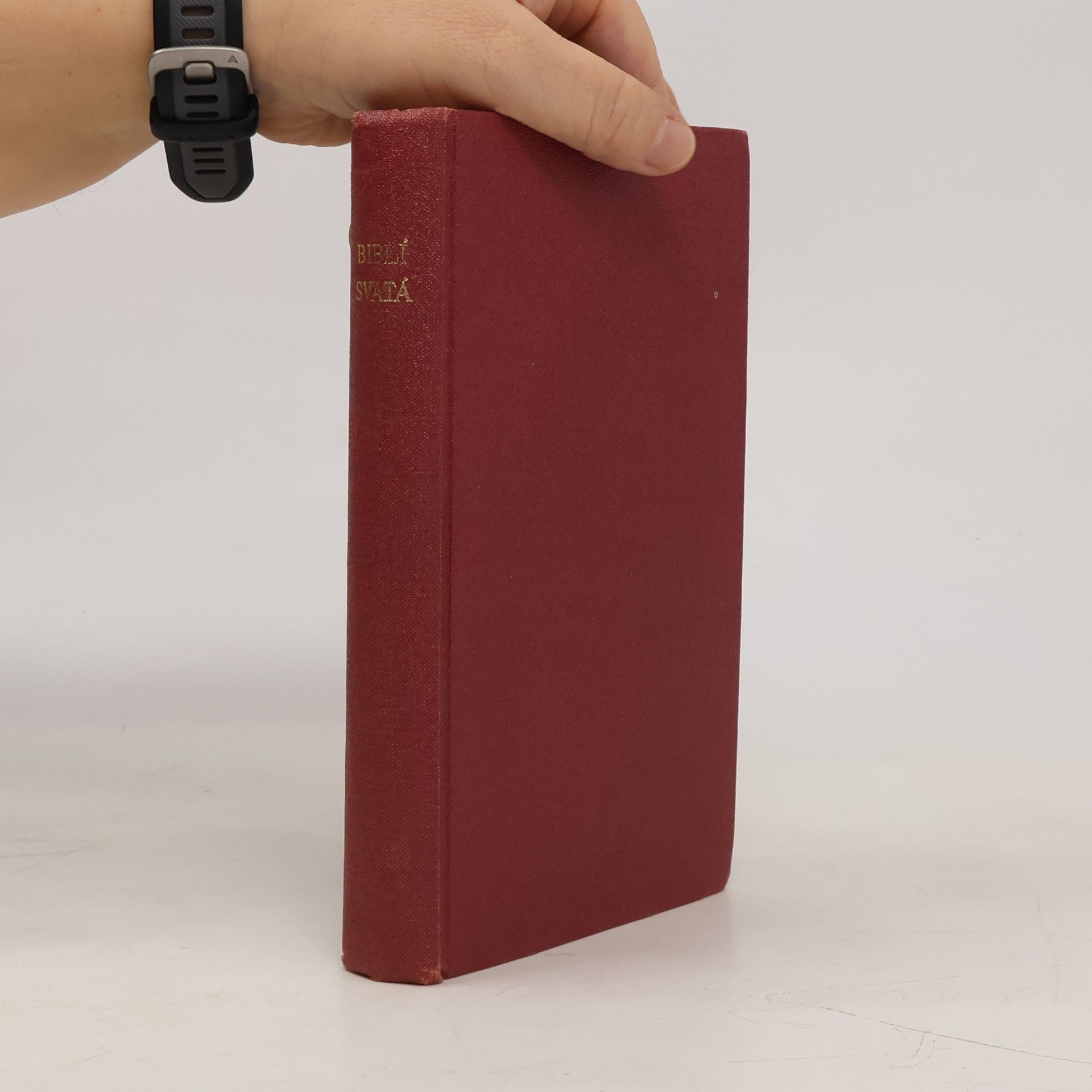 Autorenkollektiv Biblí svatá aneb Všecka svatá písma Starého i Nového zákona