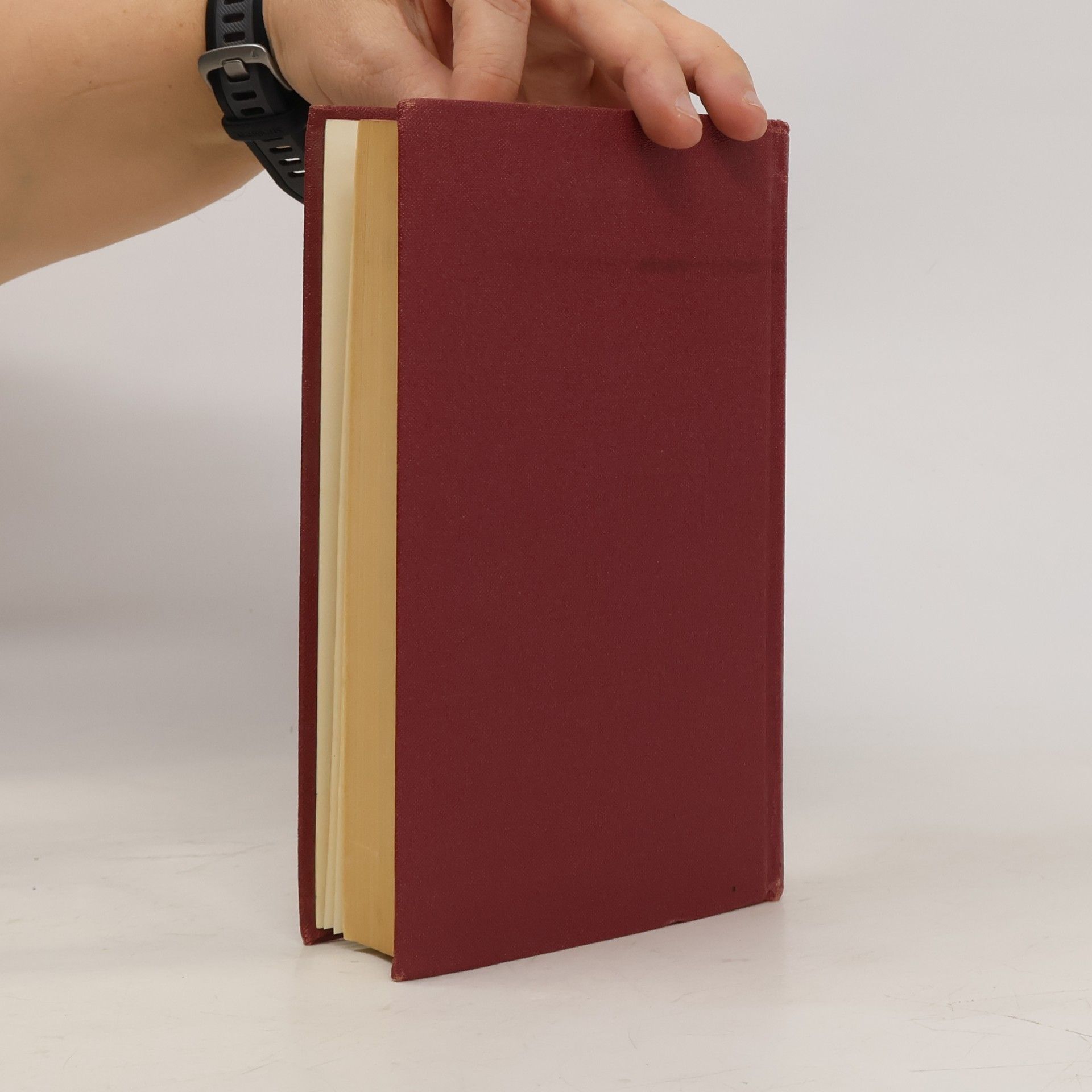 Autorenkollektiv Biblí svatá aneb Všecka svatá písma Starého i Nového zákona