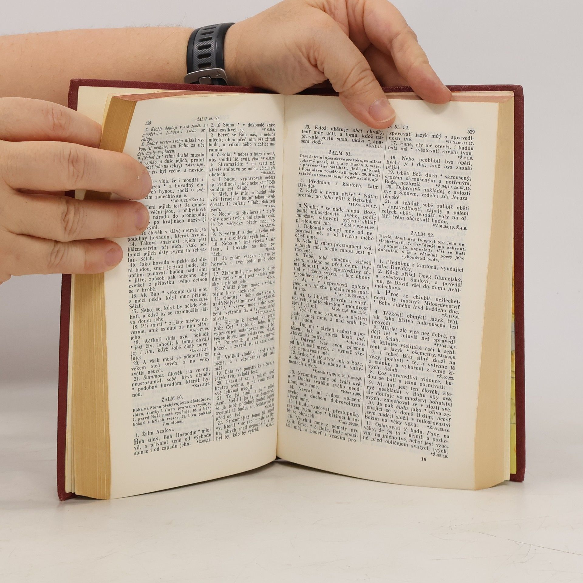 Autorenkollektiv Biblí svatá aneb Všecka svatá písma Starého i Nového zákona