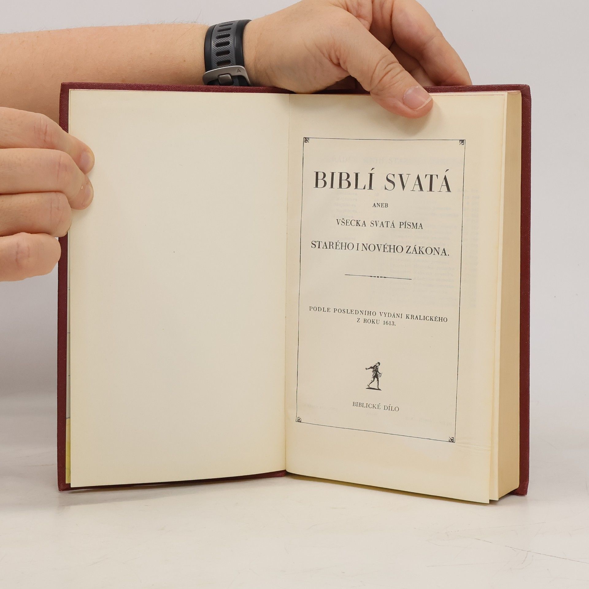 Autorenkollektiv Biblí svatá aneb Všecka svatá písma Starého i Nového zákona