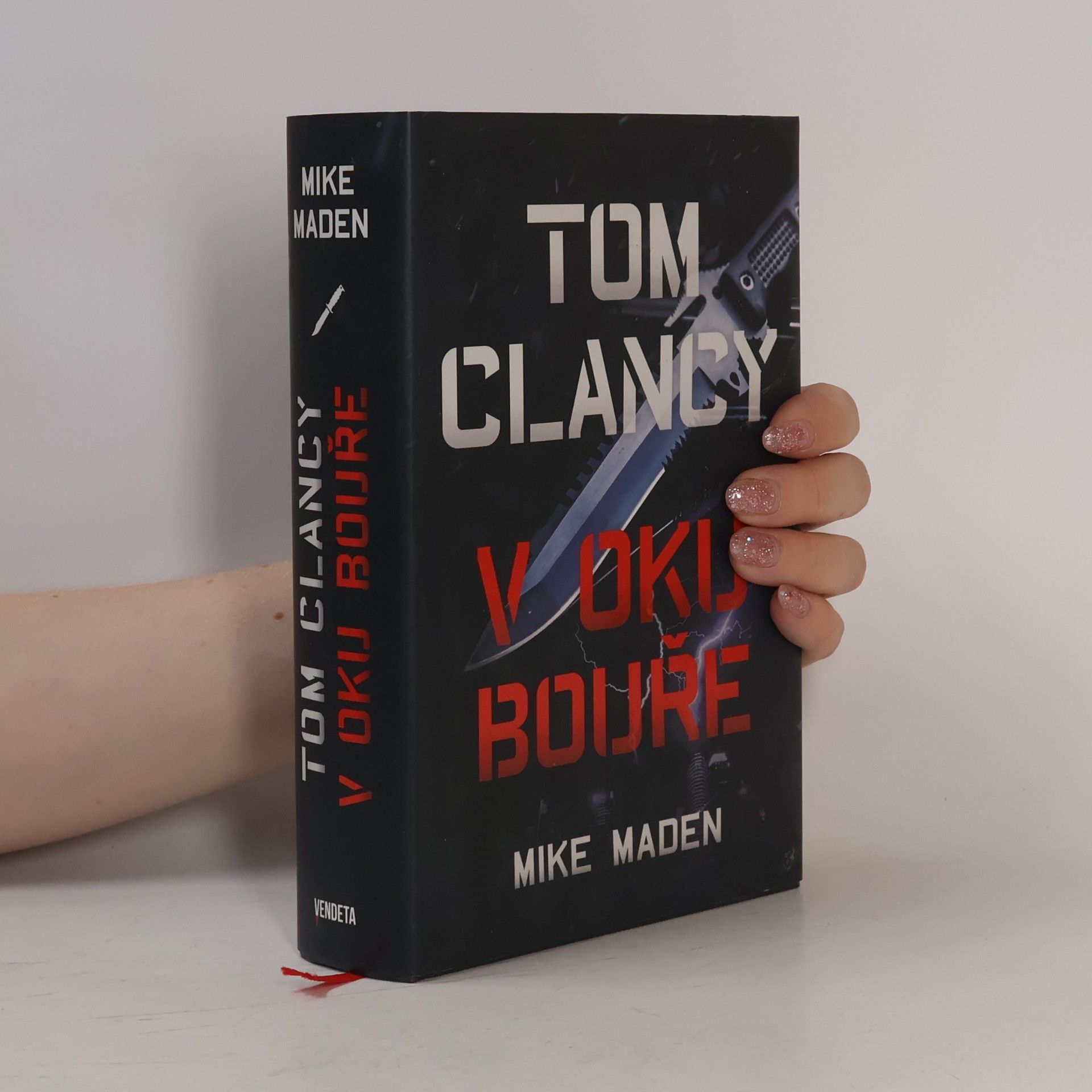 Mike Maden V oku bouře