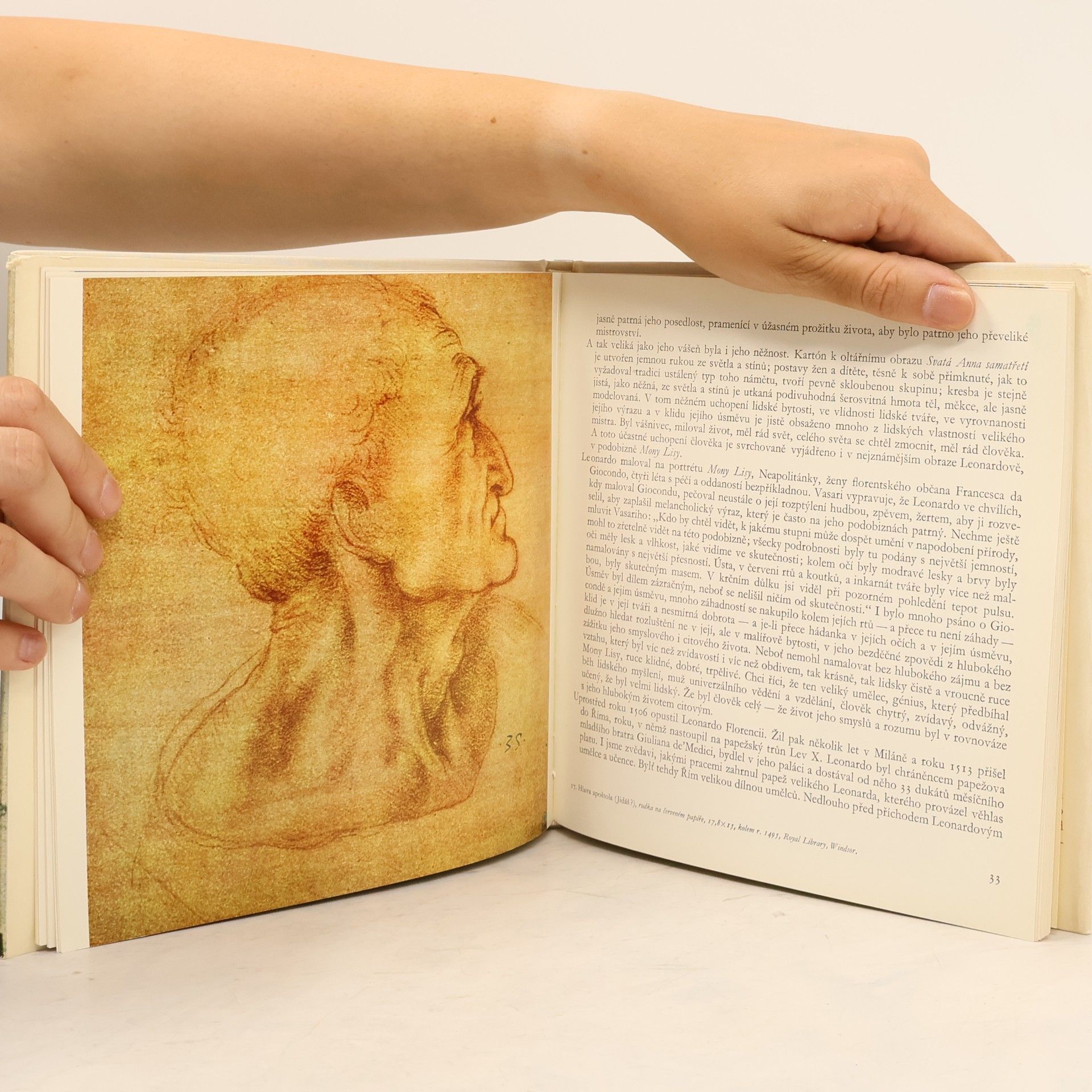 Jaromír Pečírka Leonardo da Vinci