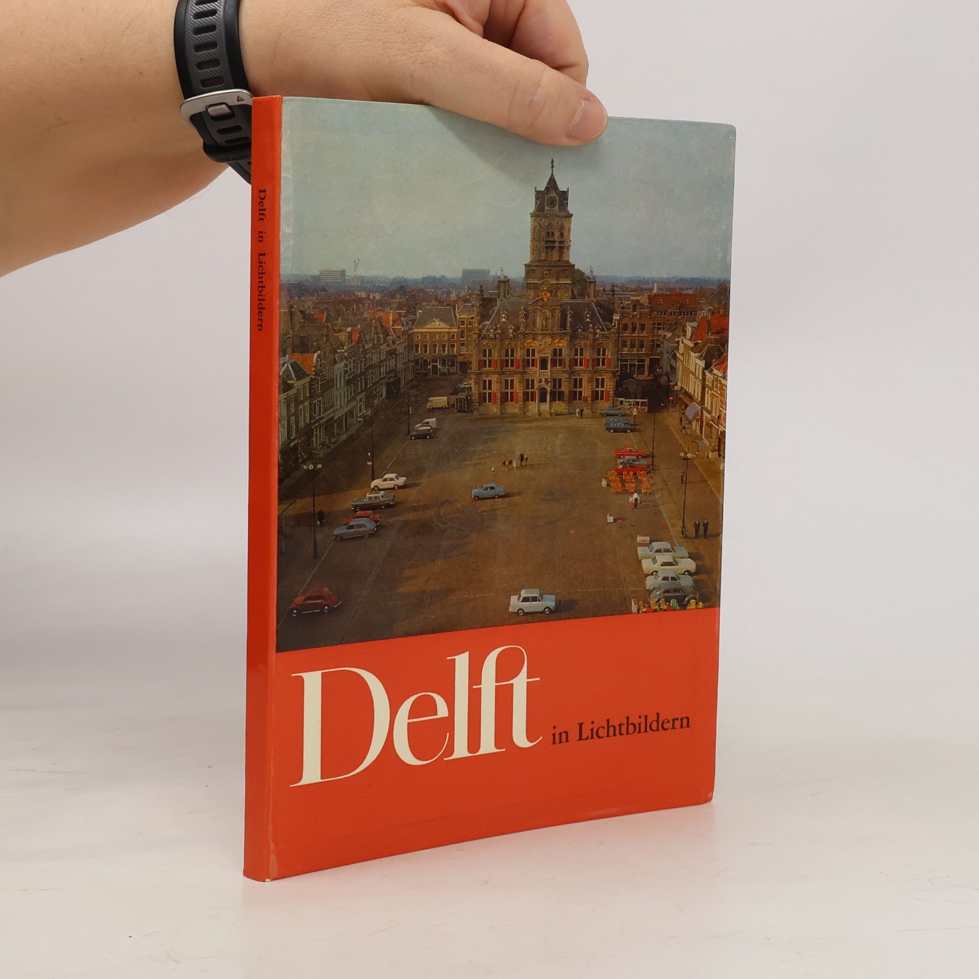 Delft in Lichtbildern