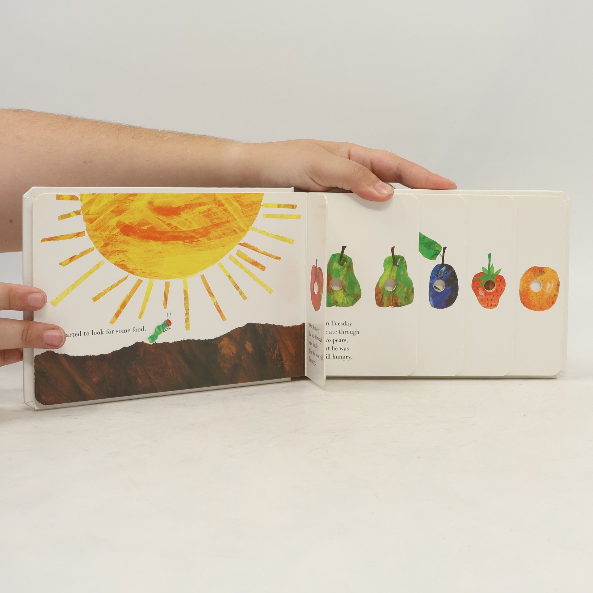 Eric Carle The Very Hungry Caterpillar