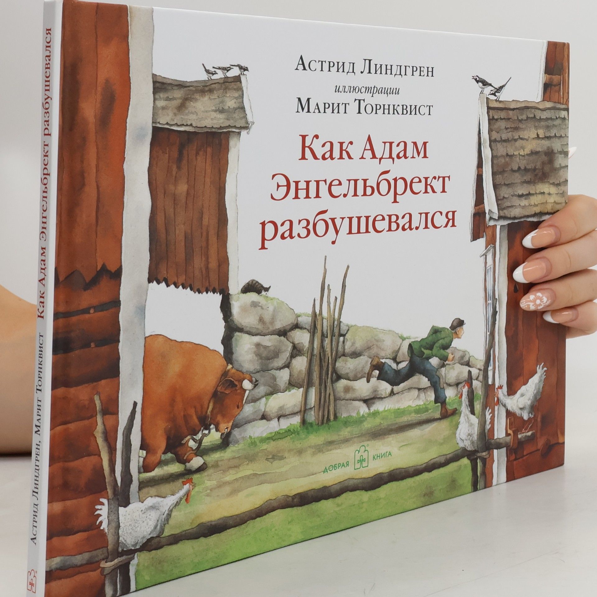 Как Адам Энгельбрект разбушевался