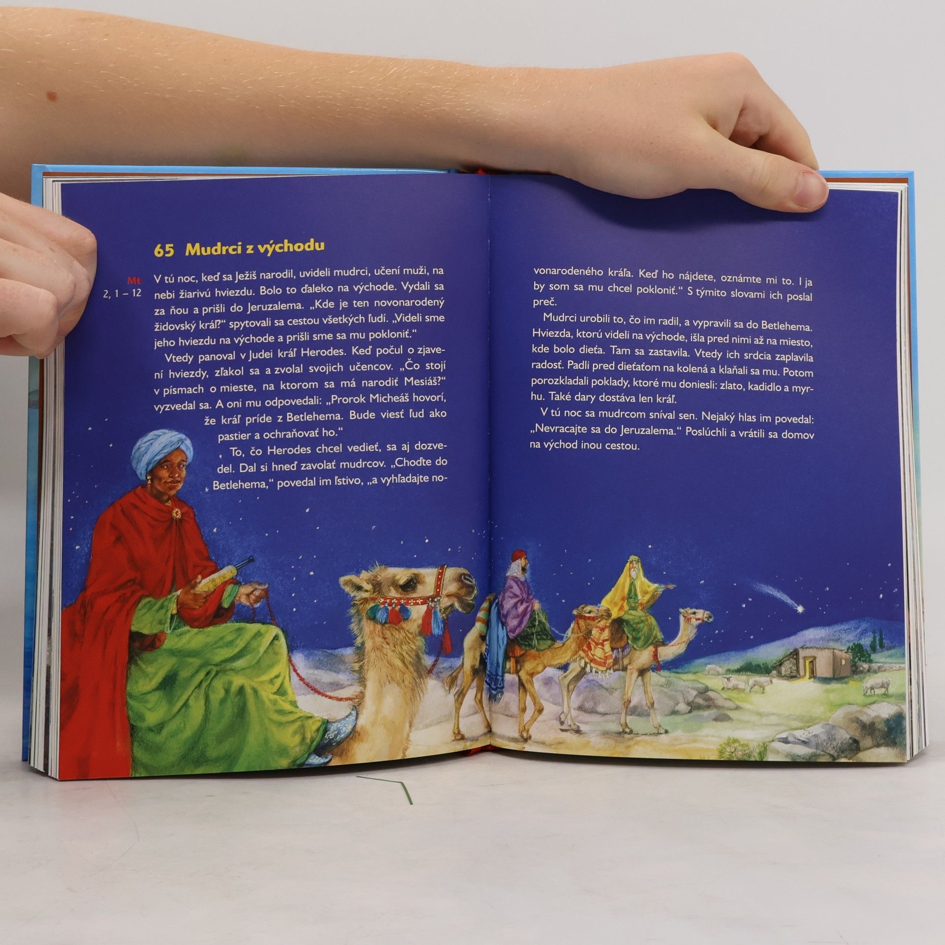 Various authors Biblia pre deti