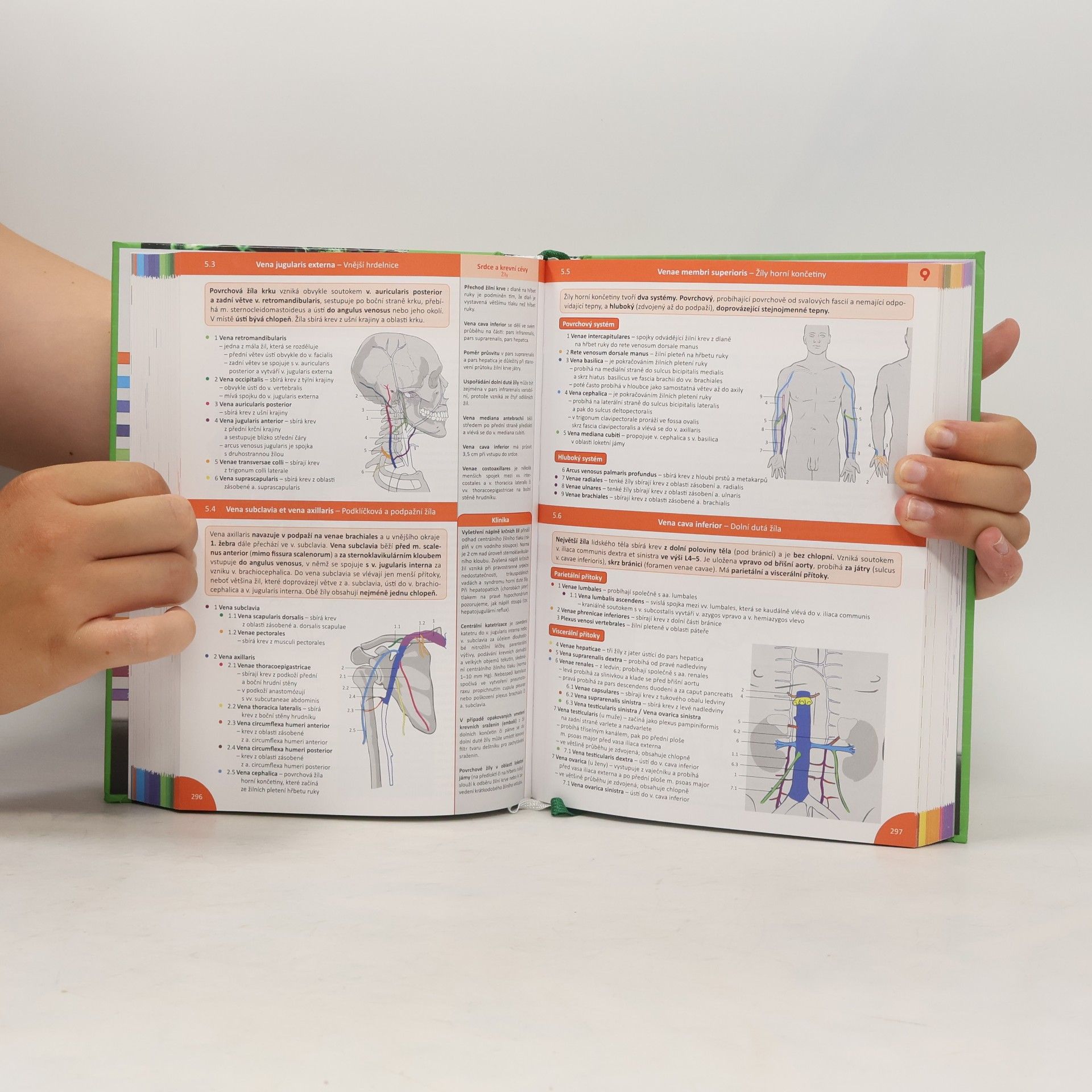 Radovan Hudák Memorix anatomie