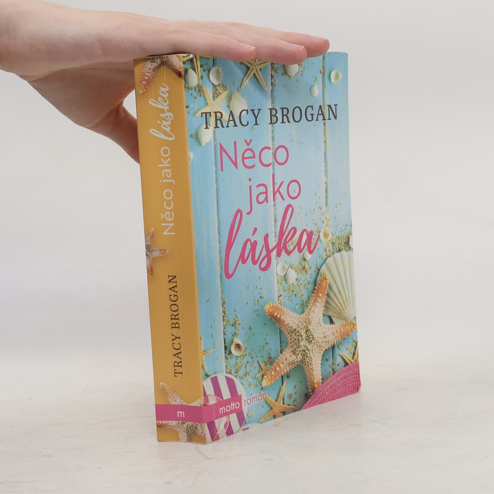 Tracy Brogan Něco jako láska