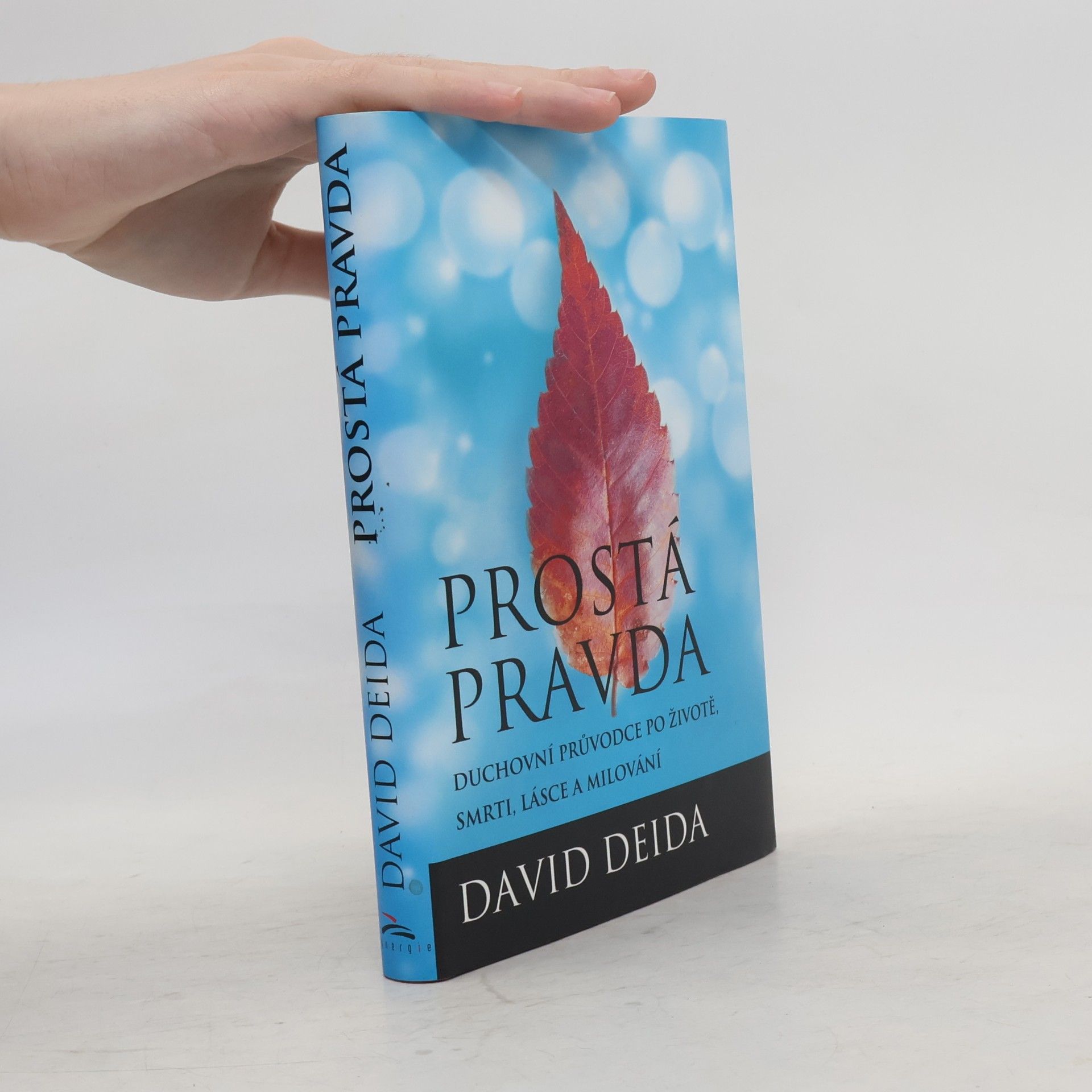 David Deida Prostá pravda