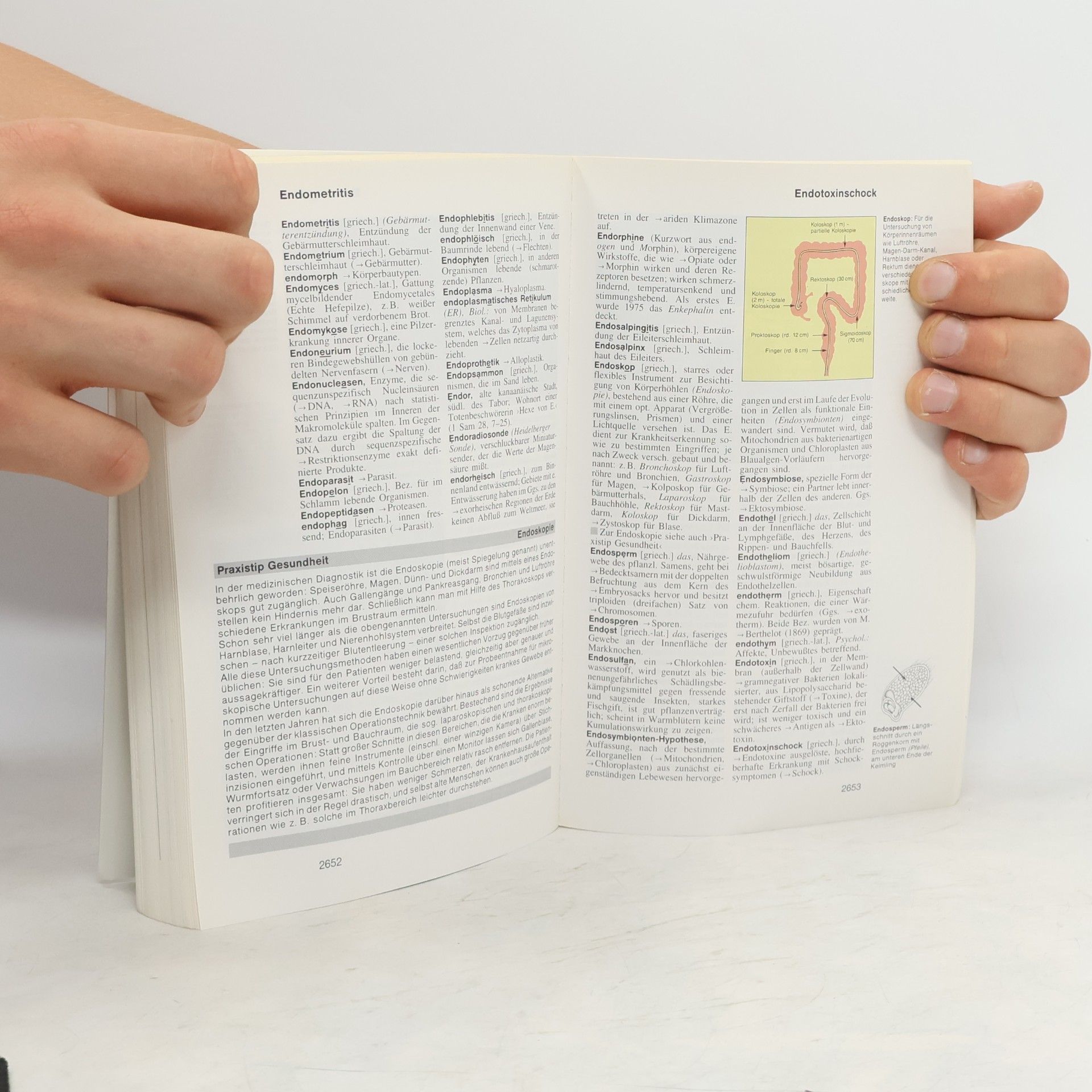 Autorenkollektiv Goldmann Lexikon 6. Don-Erse
