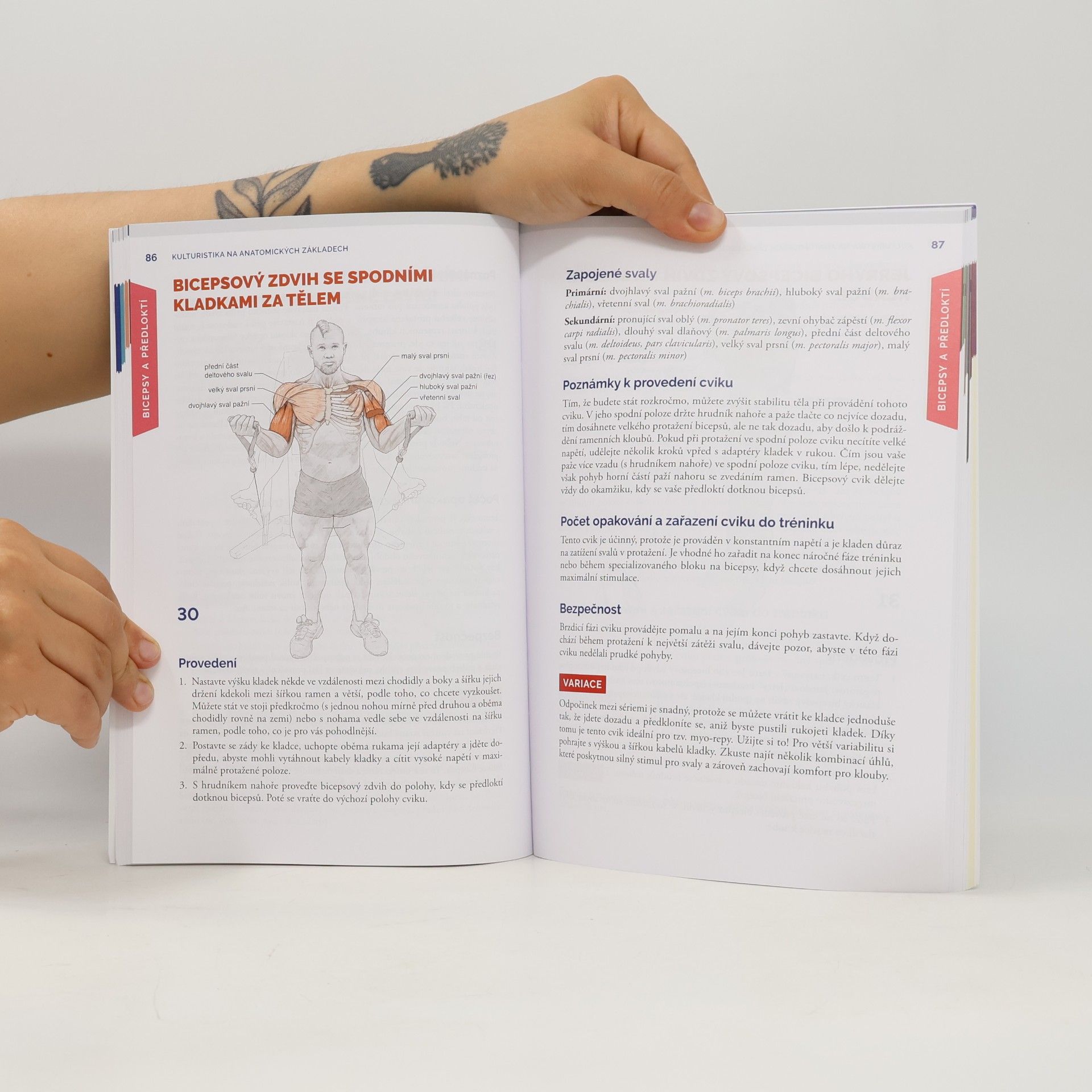 Michael Israetel Kulturistika na anatomických základech