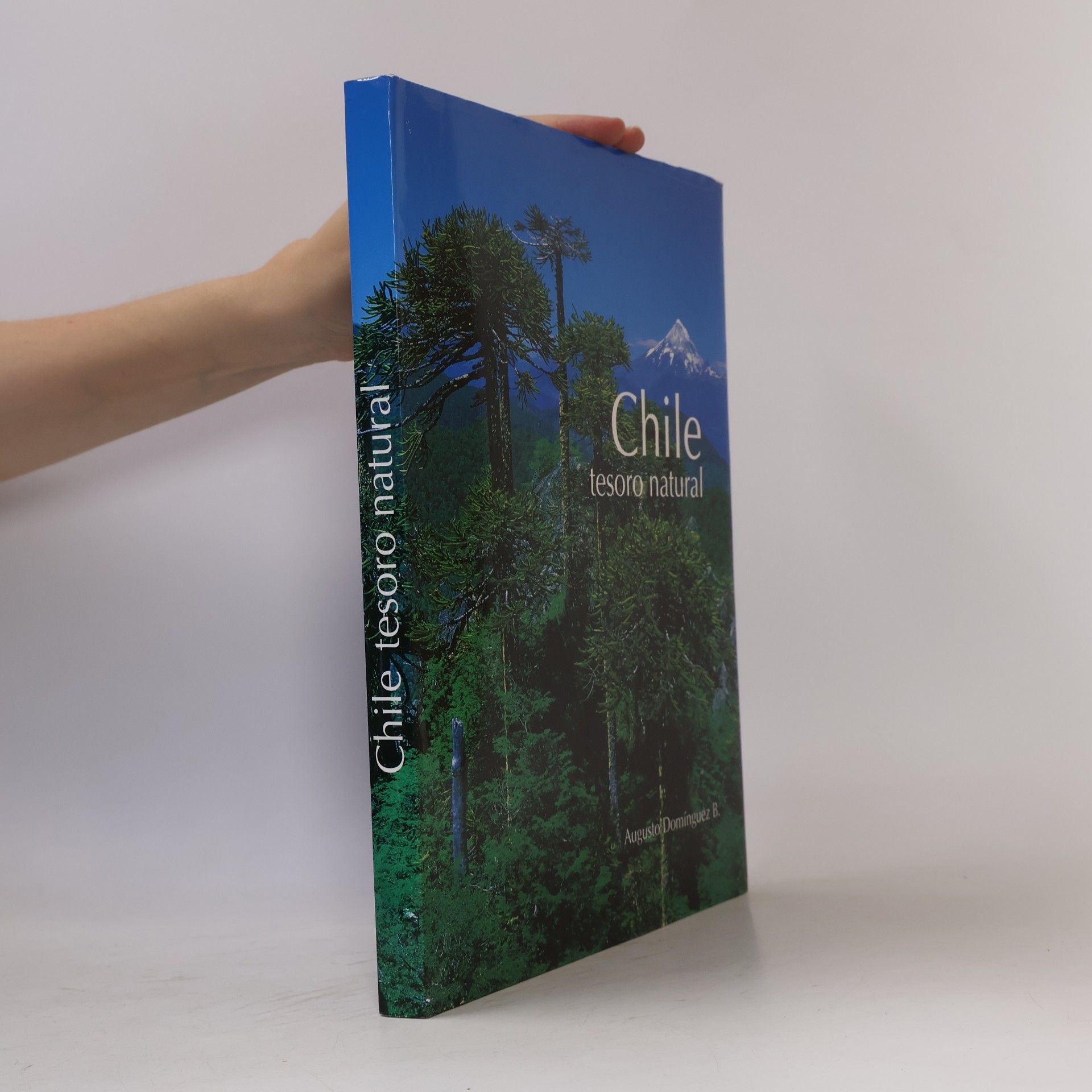 Augusto Domínguez Barros Chile, tesoro natural (Spanish Edition)