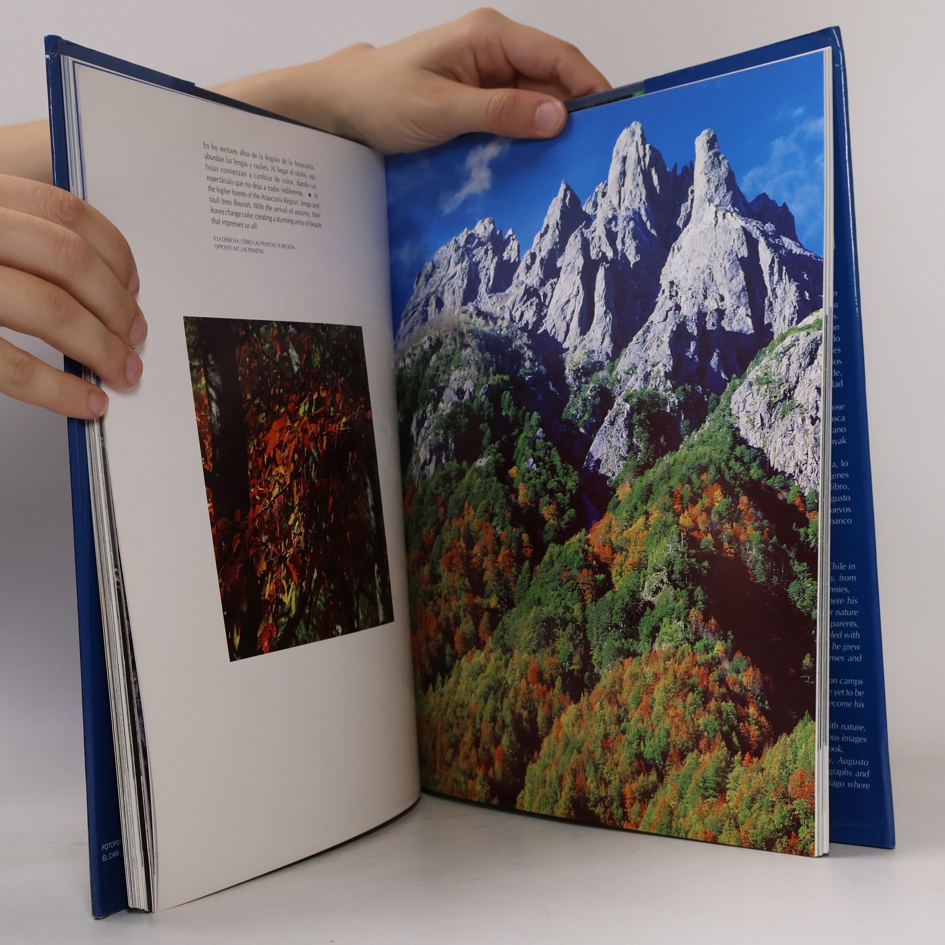 Augusto Domínguez Barros Chile, tesoro natural (Spanish Edition)