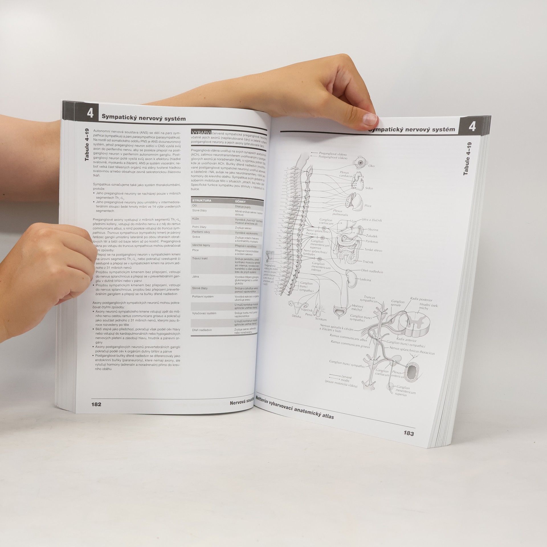 John T. Hansen Netterův vybarvovací anatomický atlas