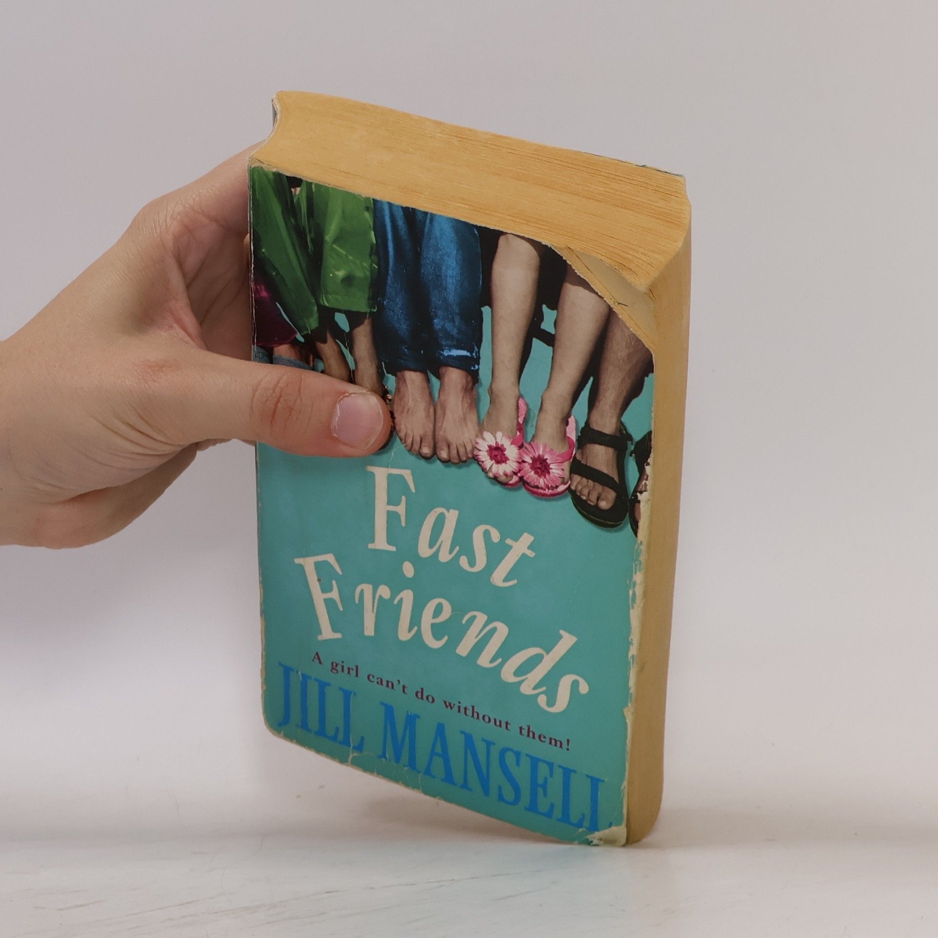 Jill Mansell Fast Friends