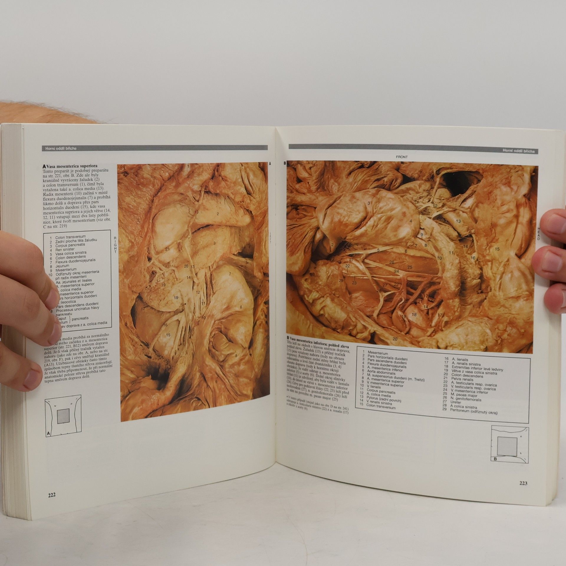 R. M. H. Robert Matthew Hay McMinn Barevný atlas anatomie člověka