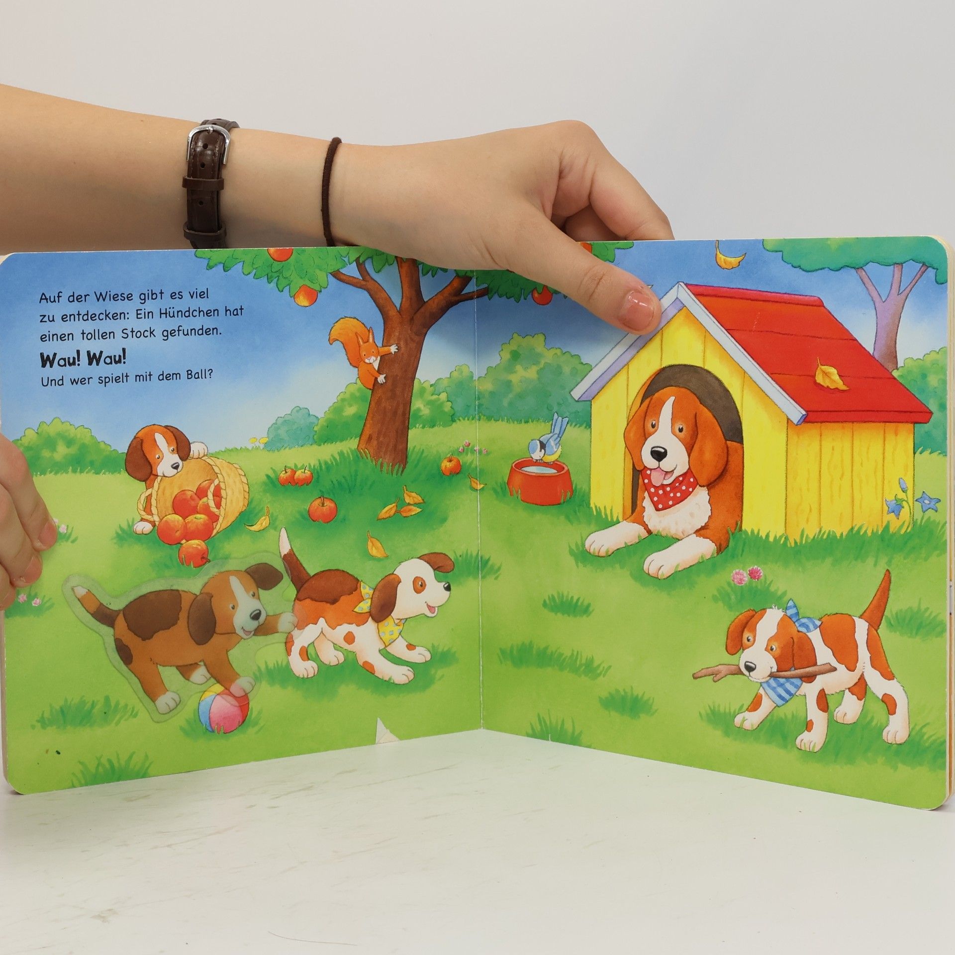 Gabriele Dal Lago Mein allererstes Stickerbuch - Tierkinder