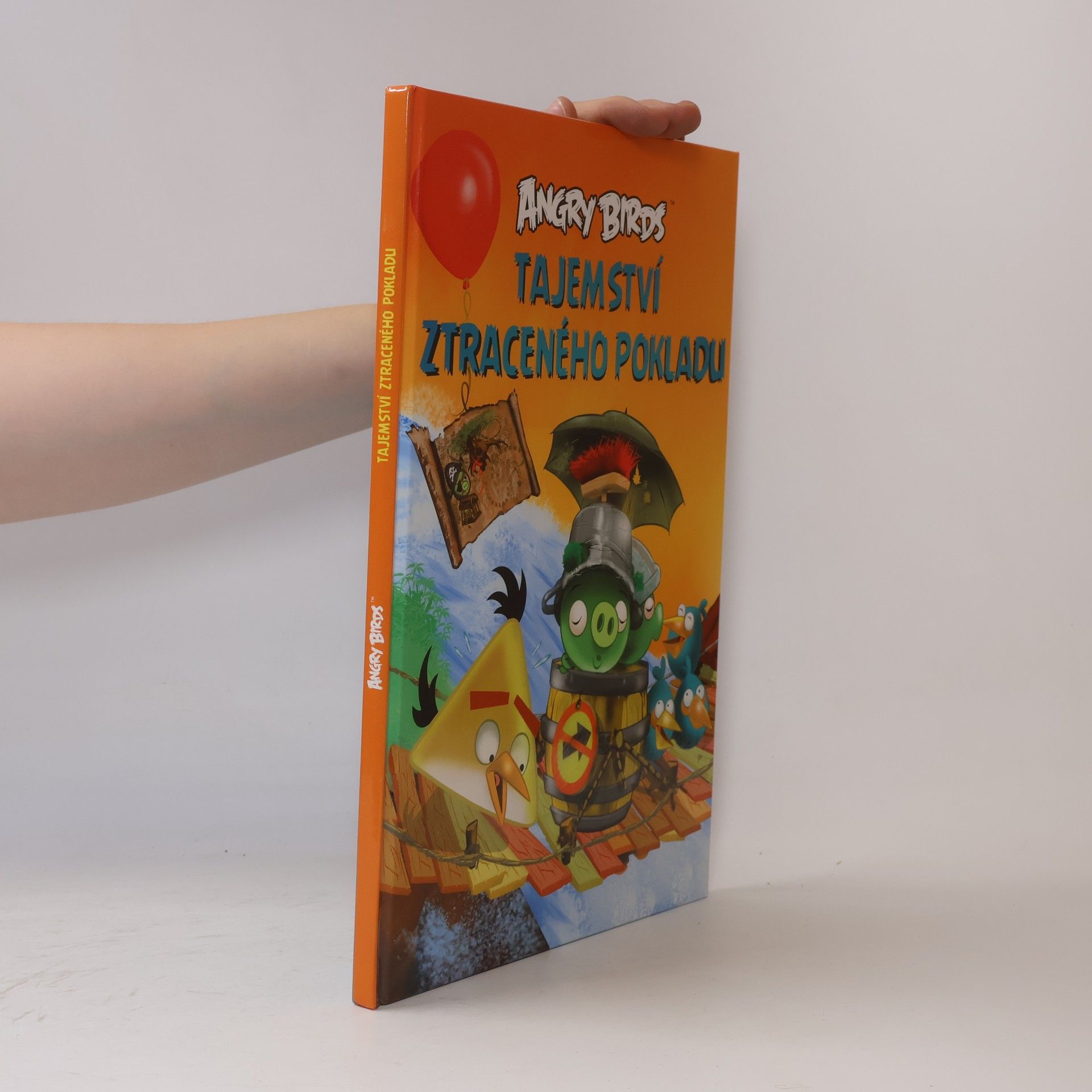 Jari Rasi Angry Birds. Tajemství ztraceného pokladu