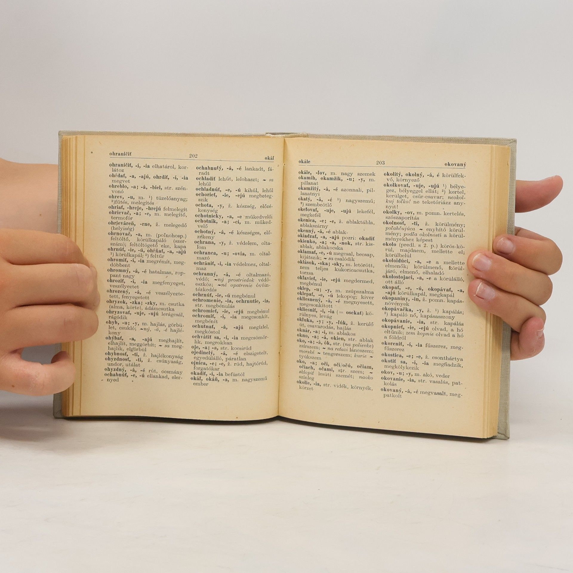 Various authors Slovensko-maďarský slovník