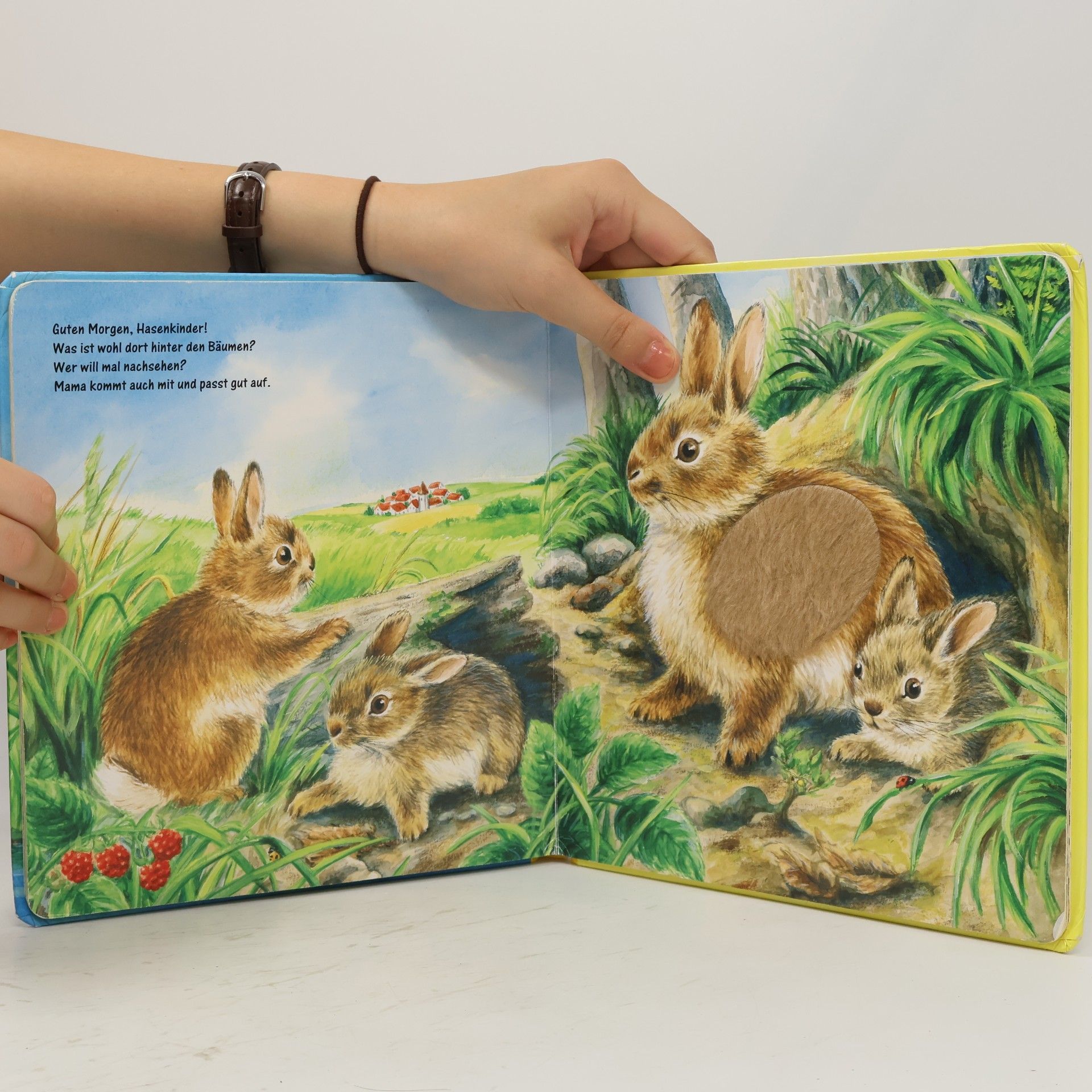 Ursula Weller Meine allerliebsten Tierbabys