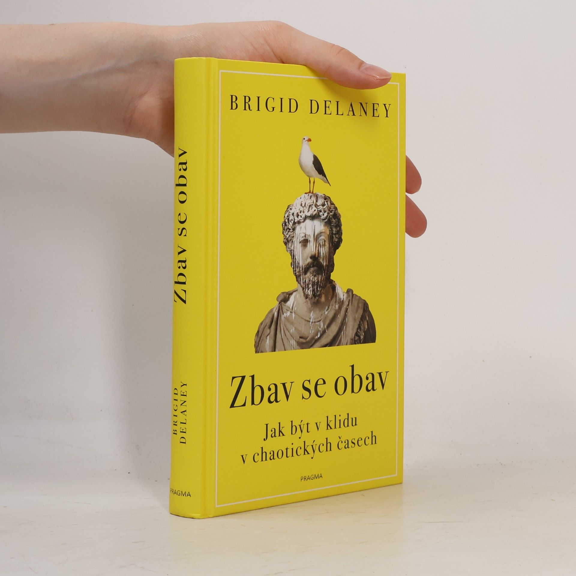 Brigid Delaney Zbav se obav. Jak být v klidu v chaotických časech