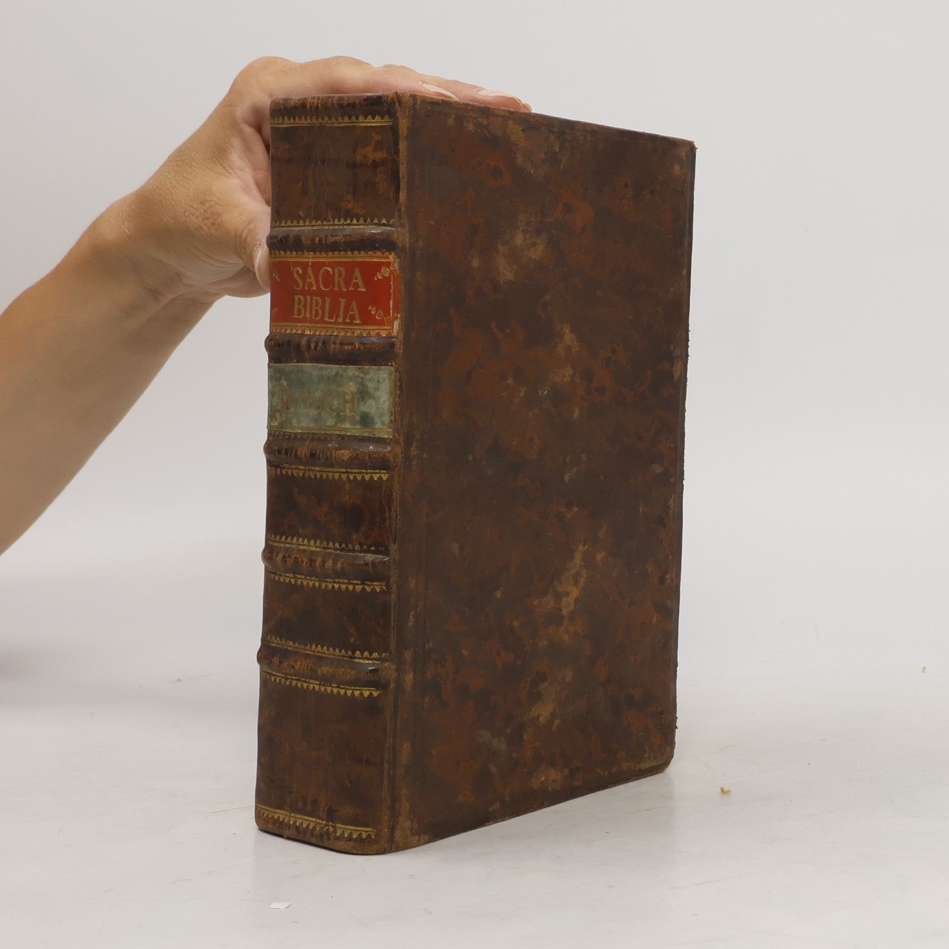 kolektiv Sacra Biblia